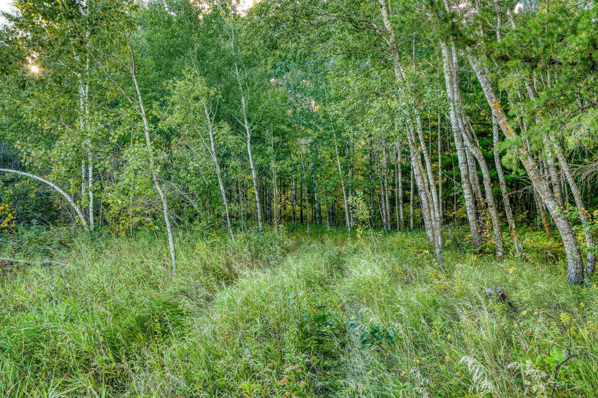 main property photo 47