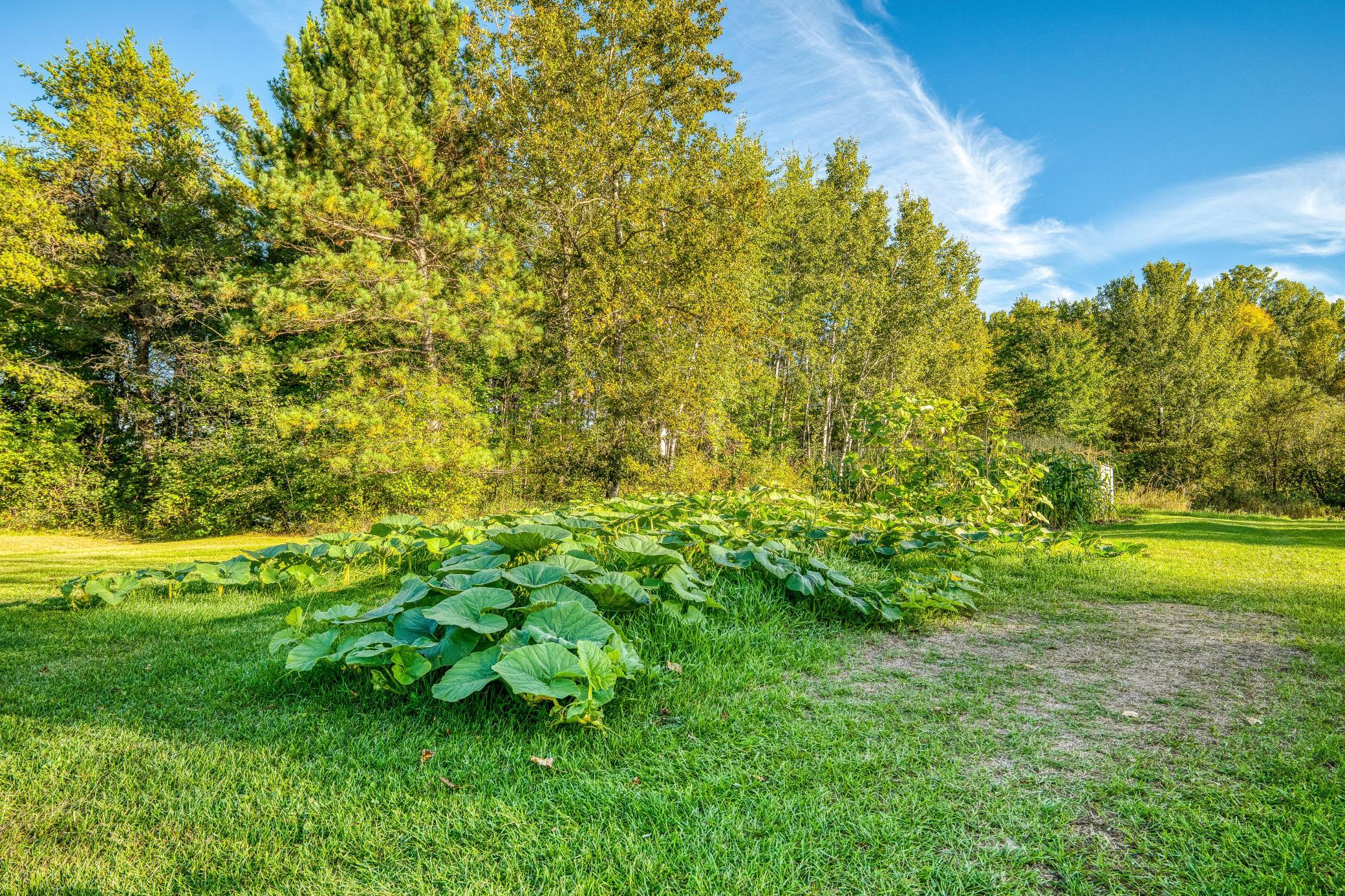 main property photo 51