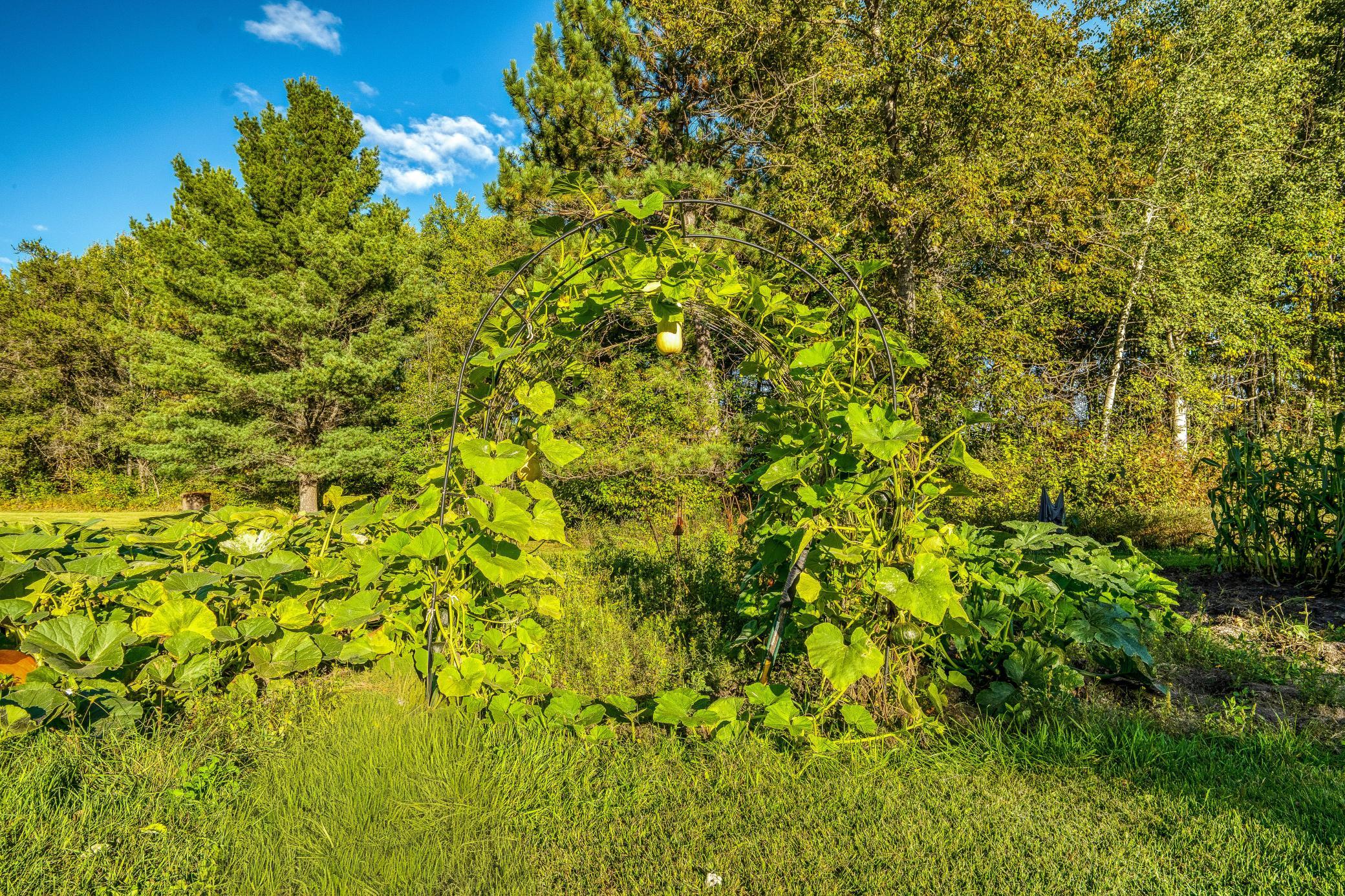 main property photo 52