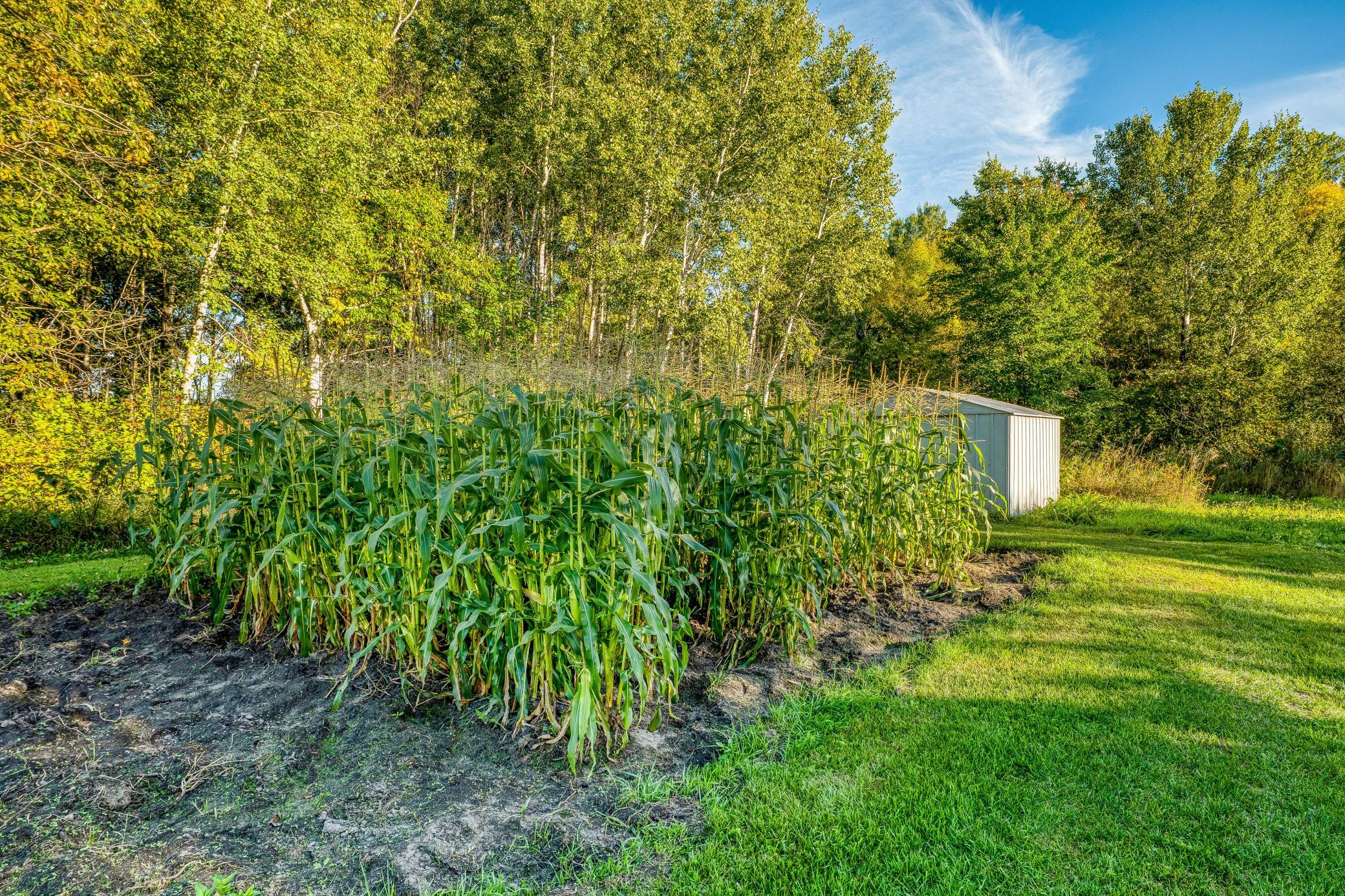 main property photo 53