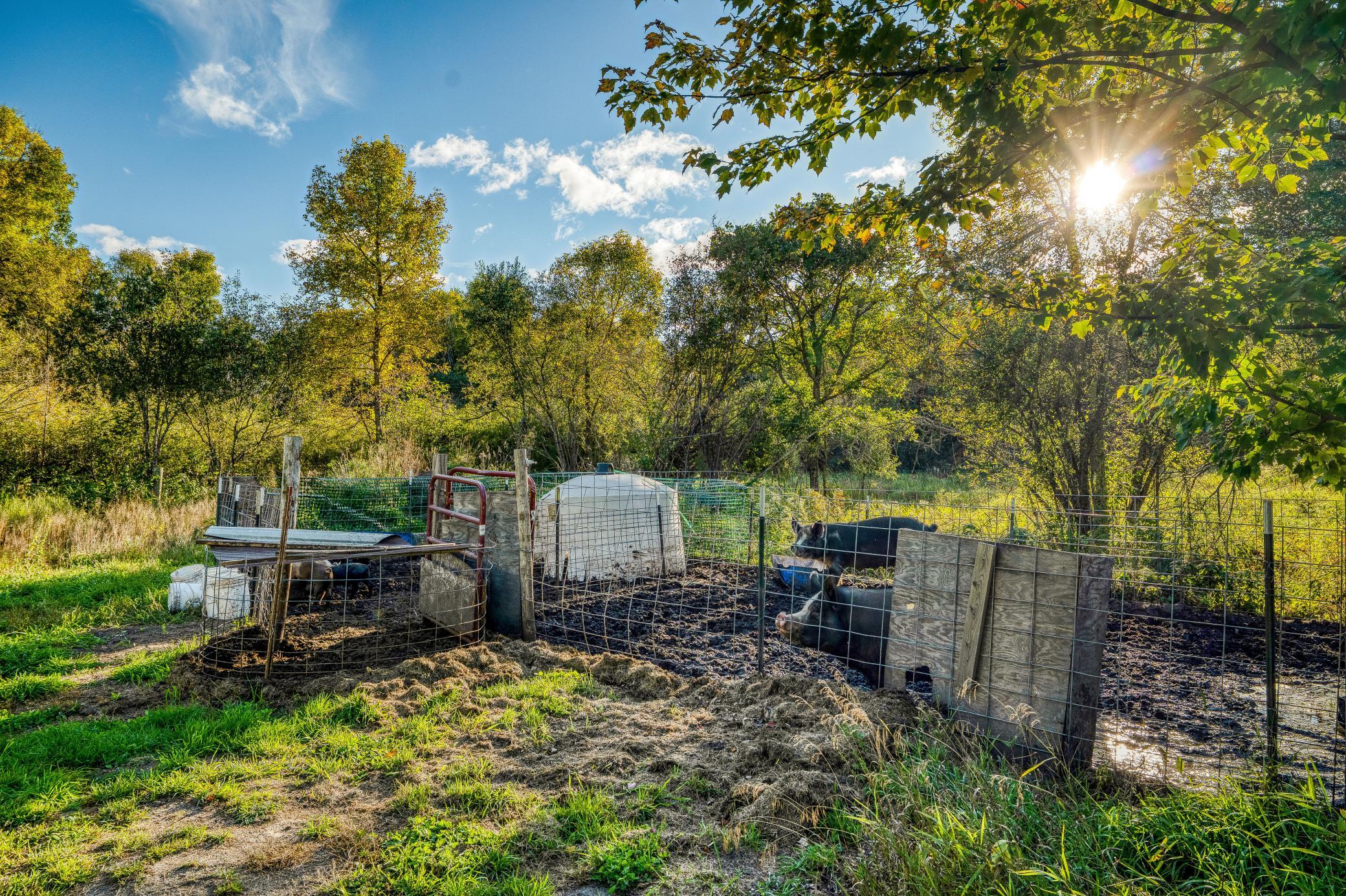 main property photo 54