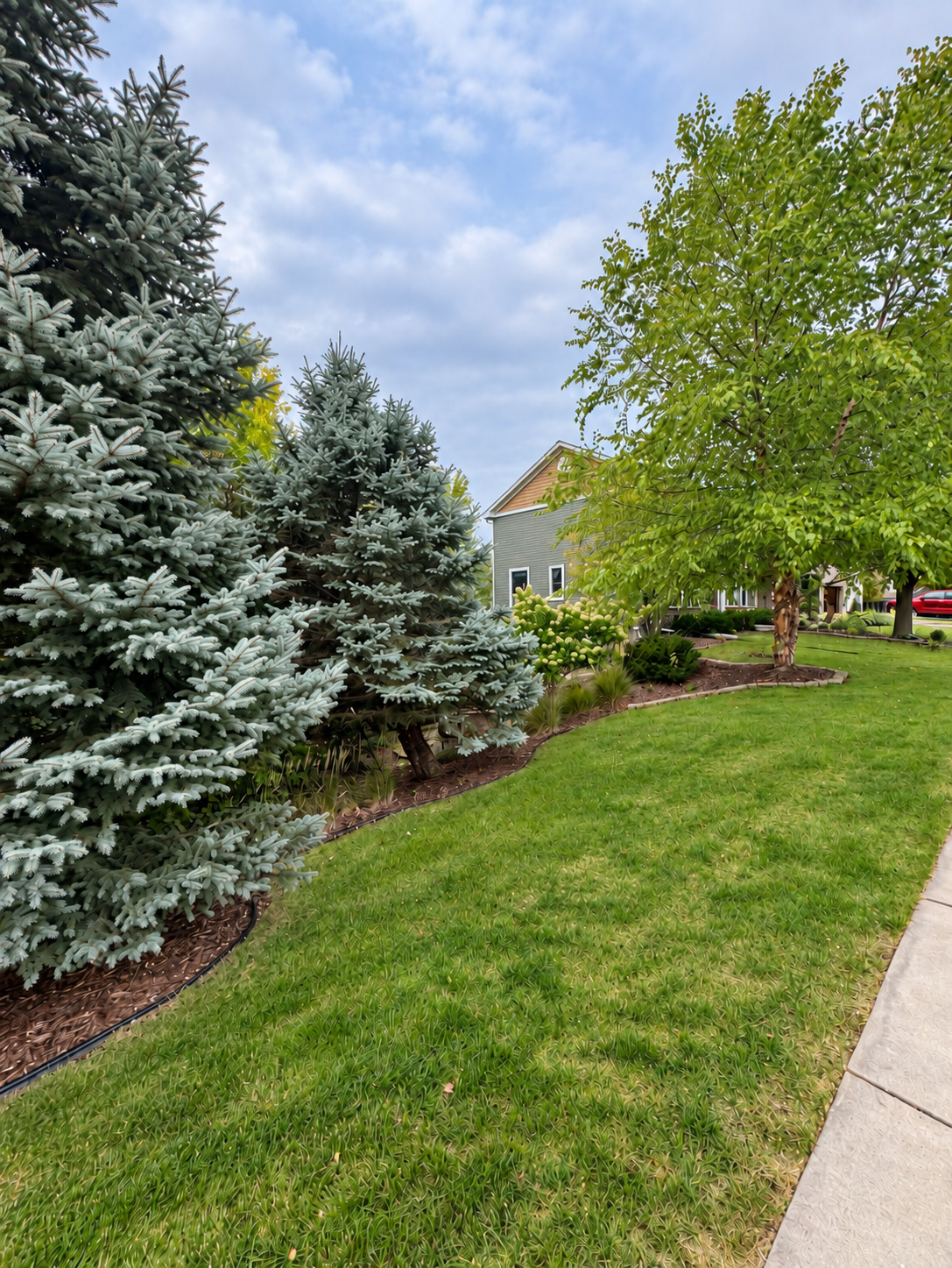 main property photo 48