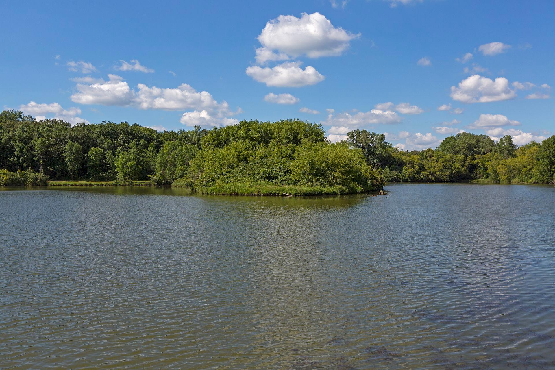main property photo 64