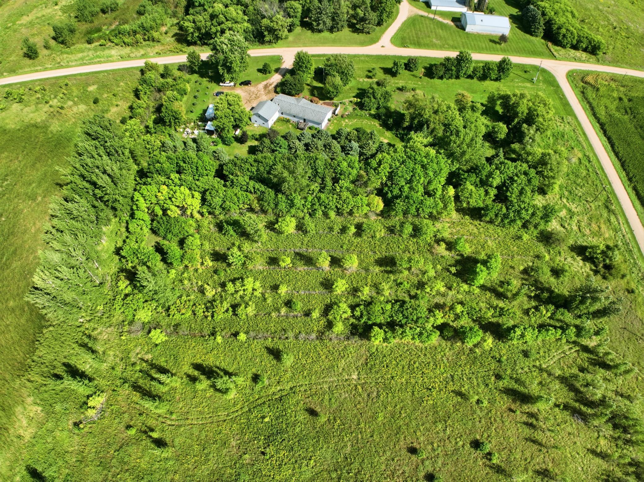 main property photo 44