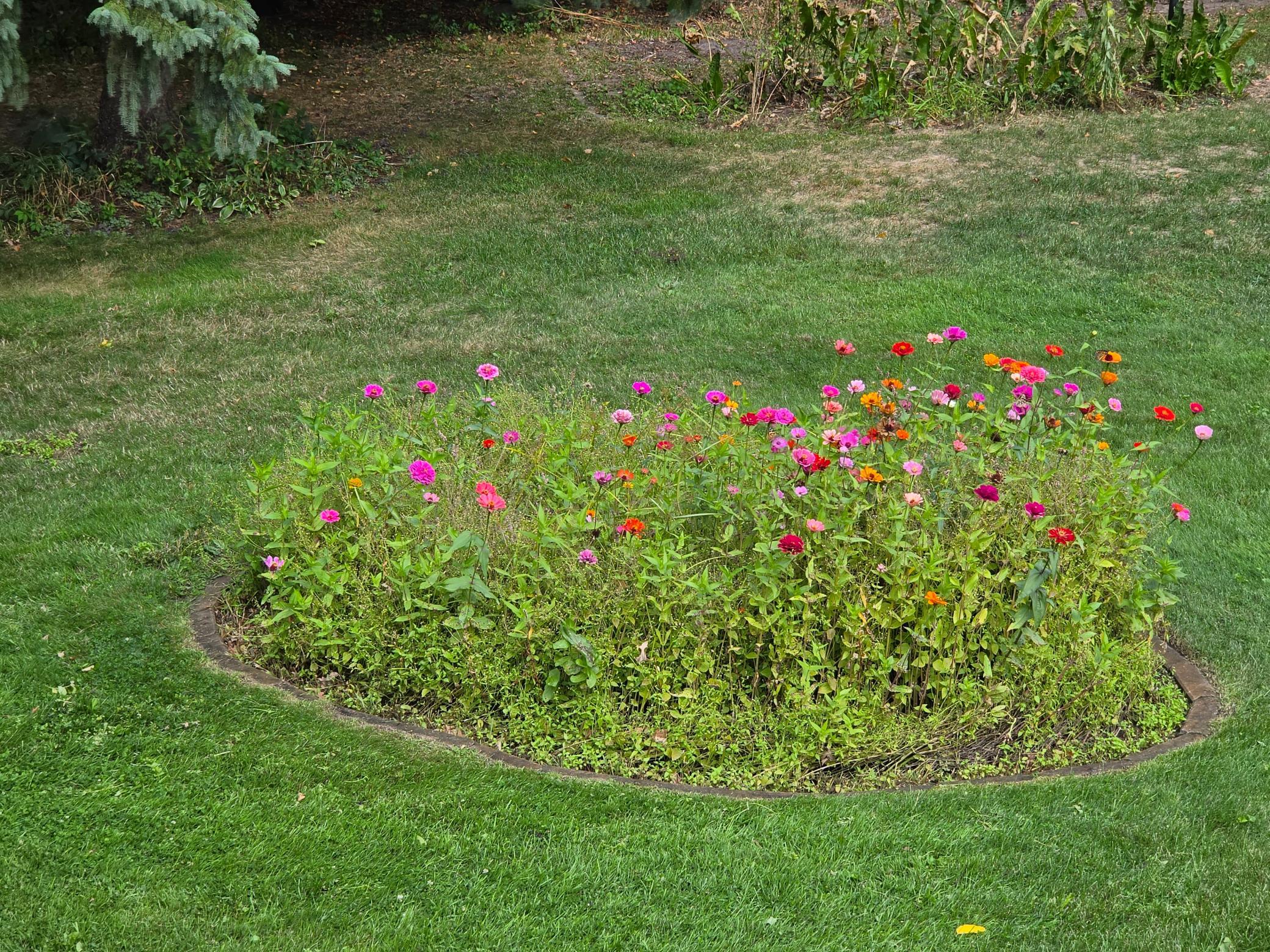 main property photo 41