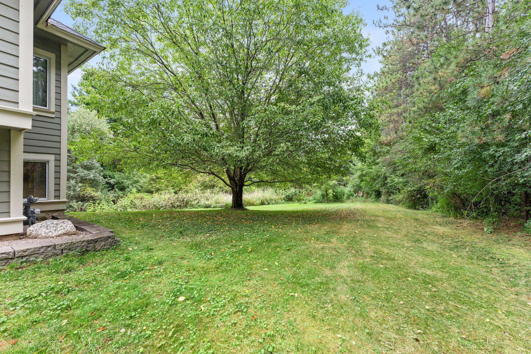 main property photo 58
