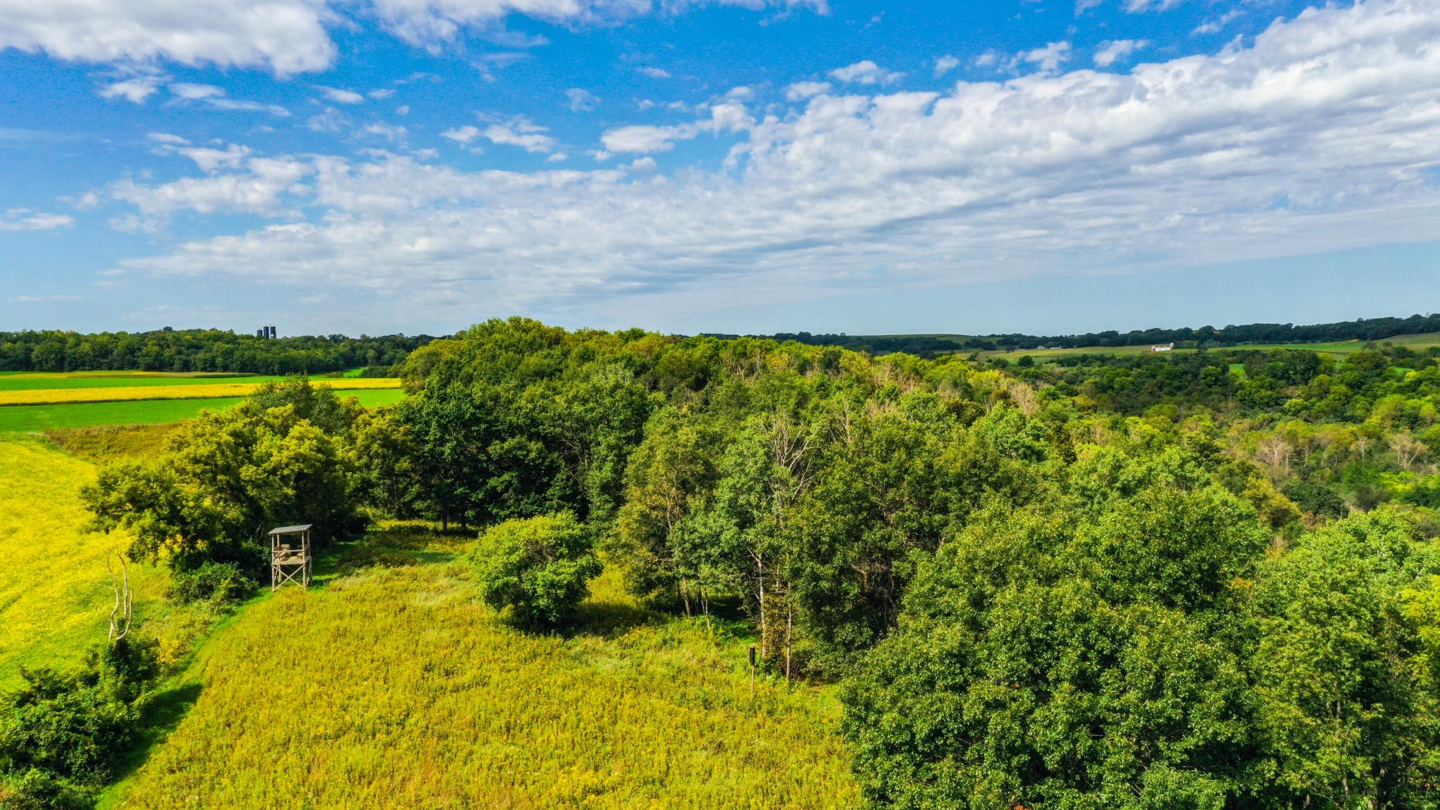 main property photo 47
