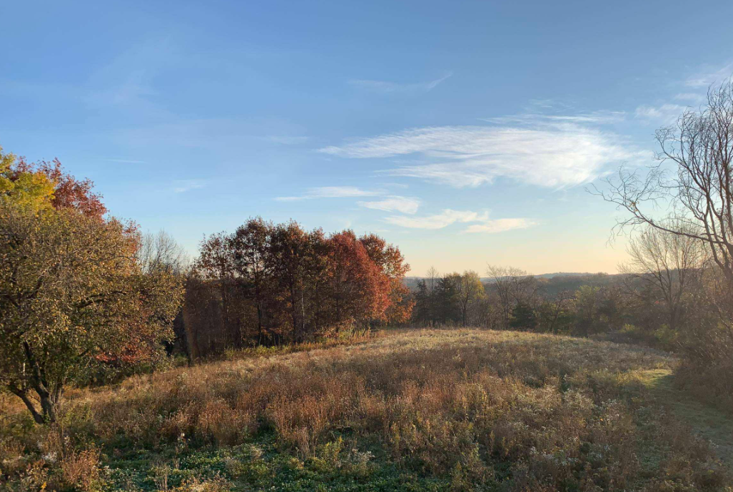 main property photo 83