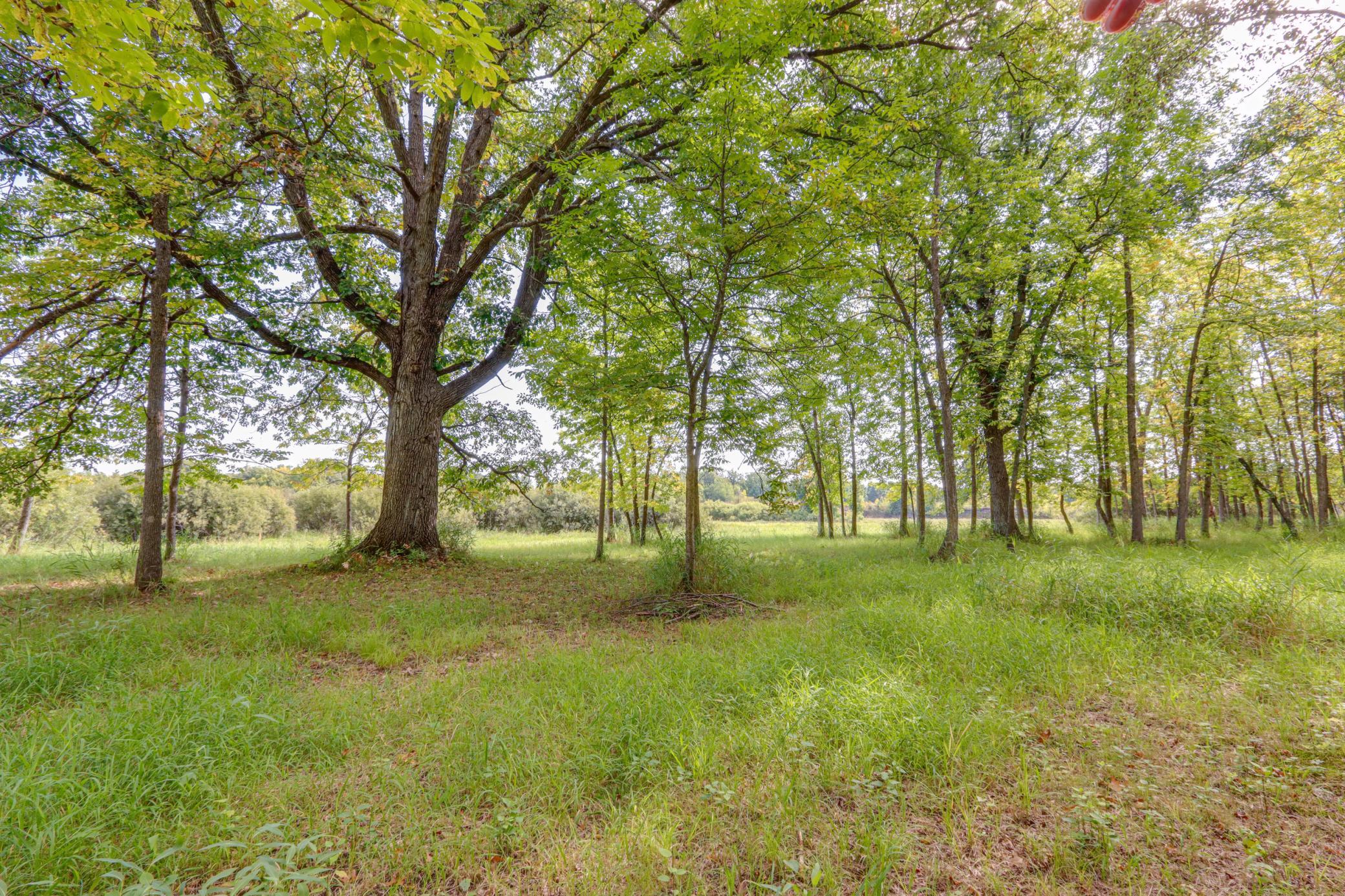 main property photo 90