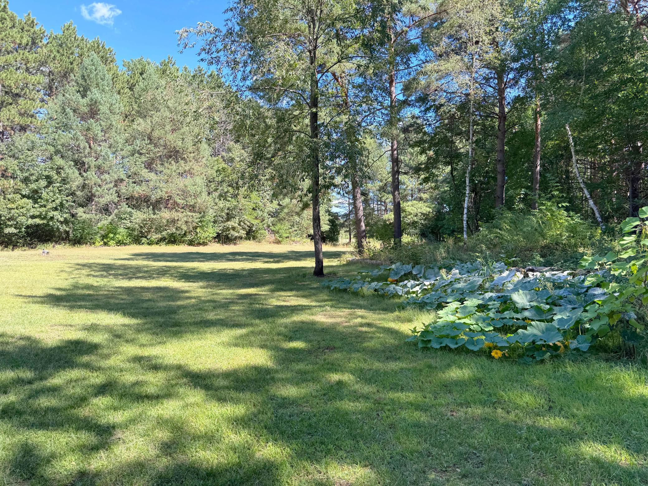 main property photo 59