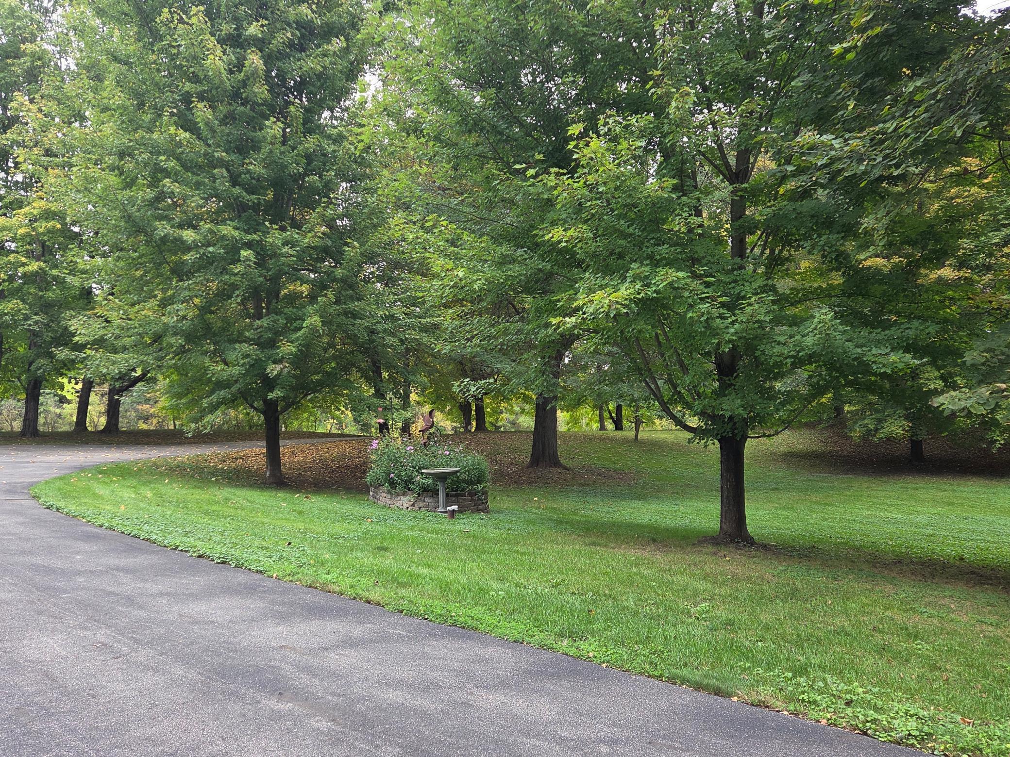 main property photo 25