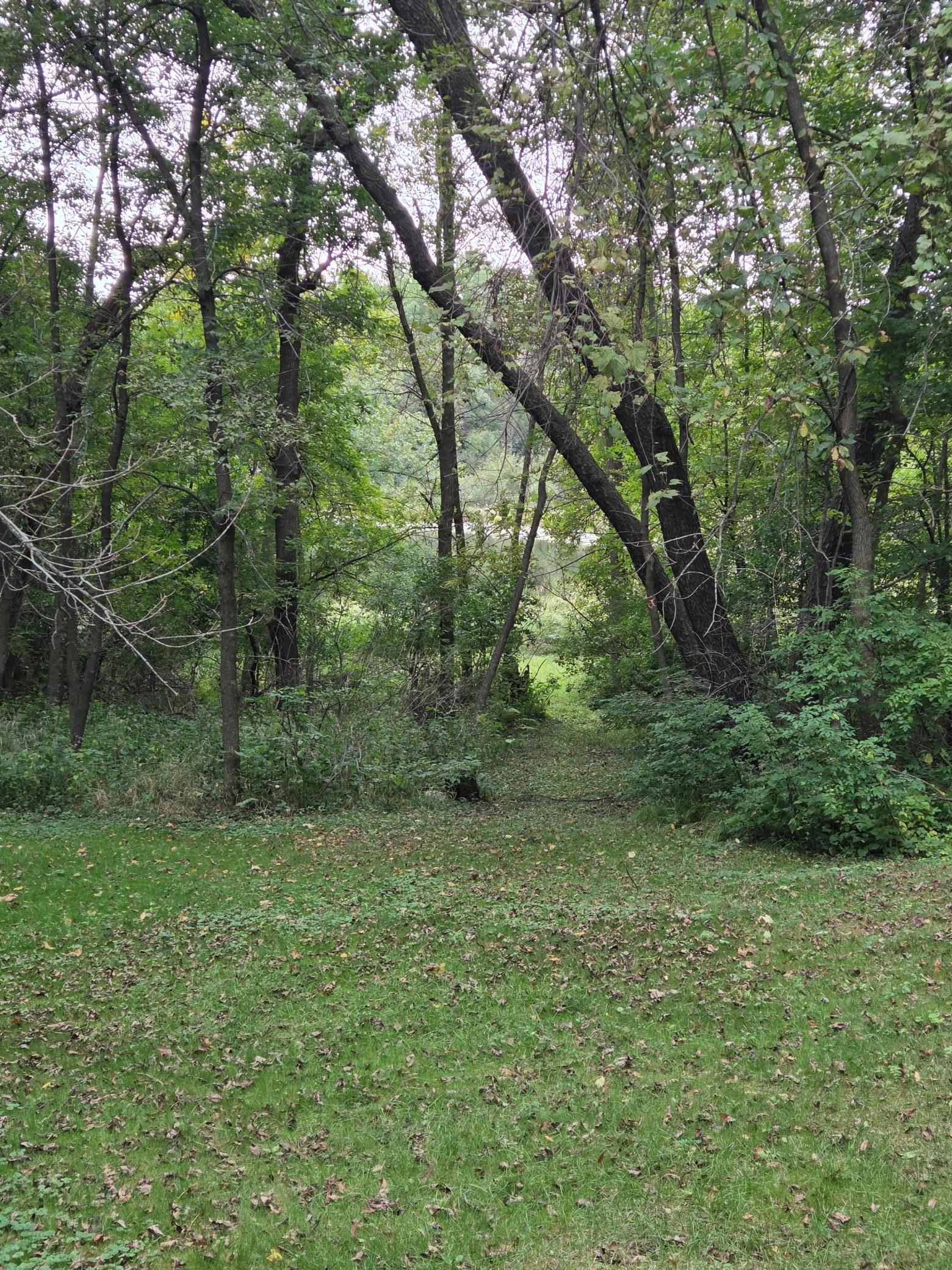 main property photo 27