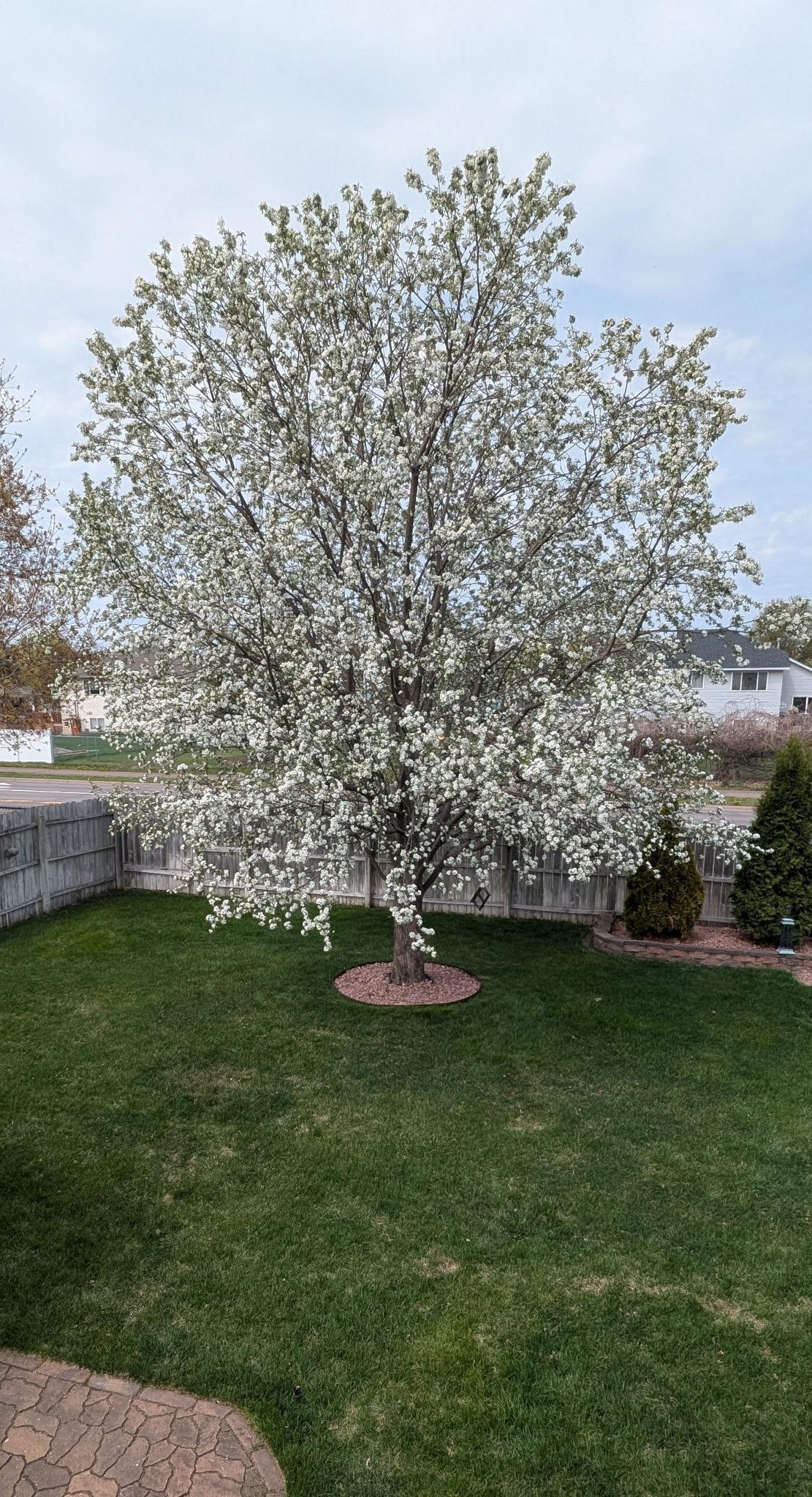 main property photo 61