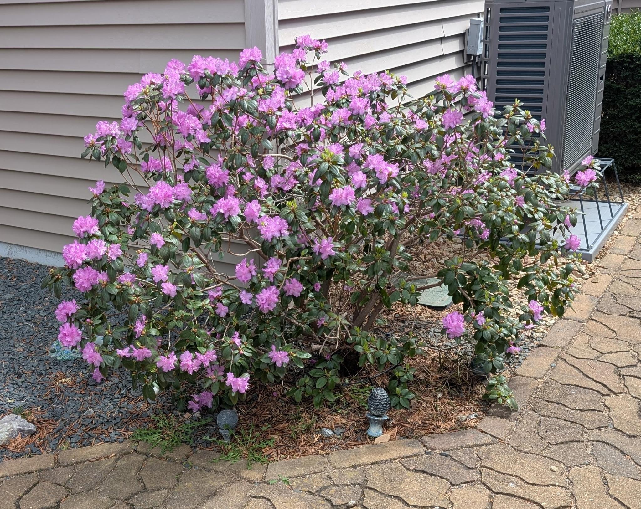 main property photo 62