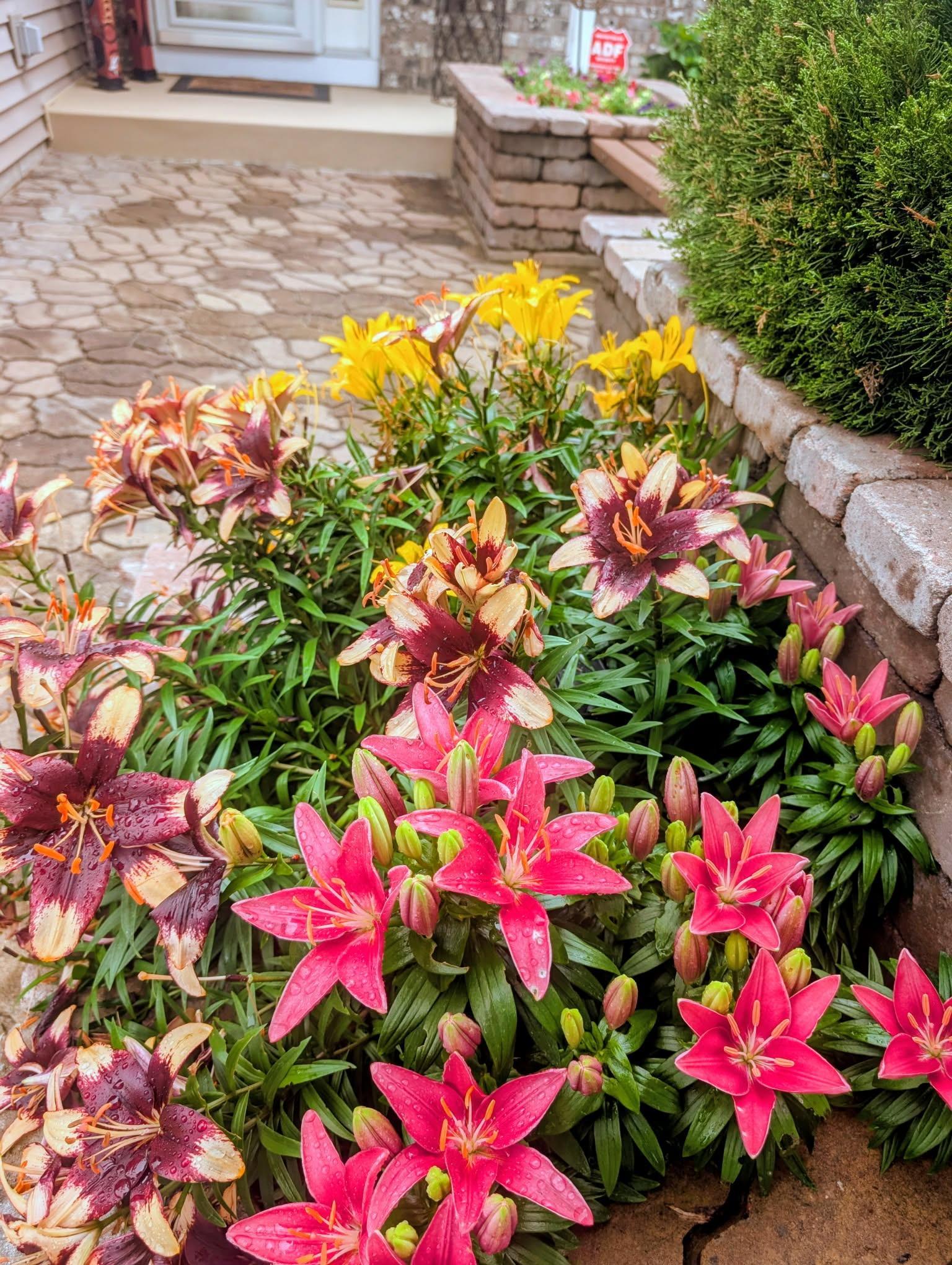 main property photo 65