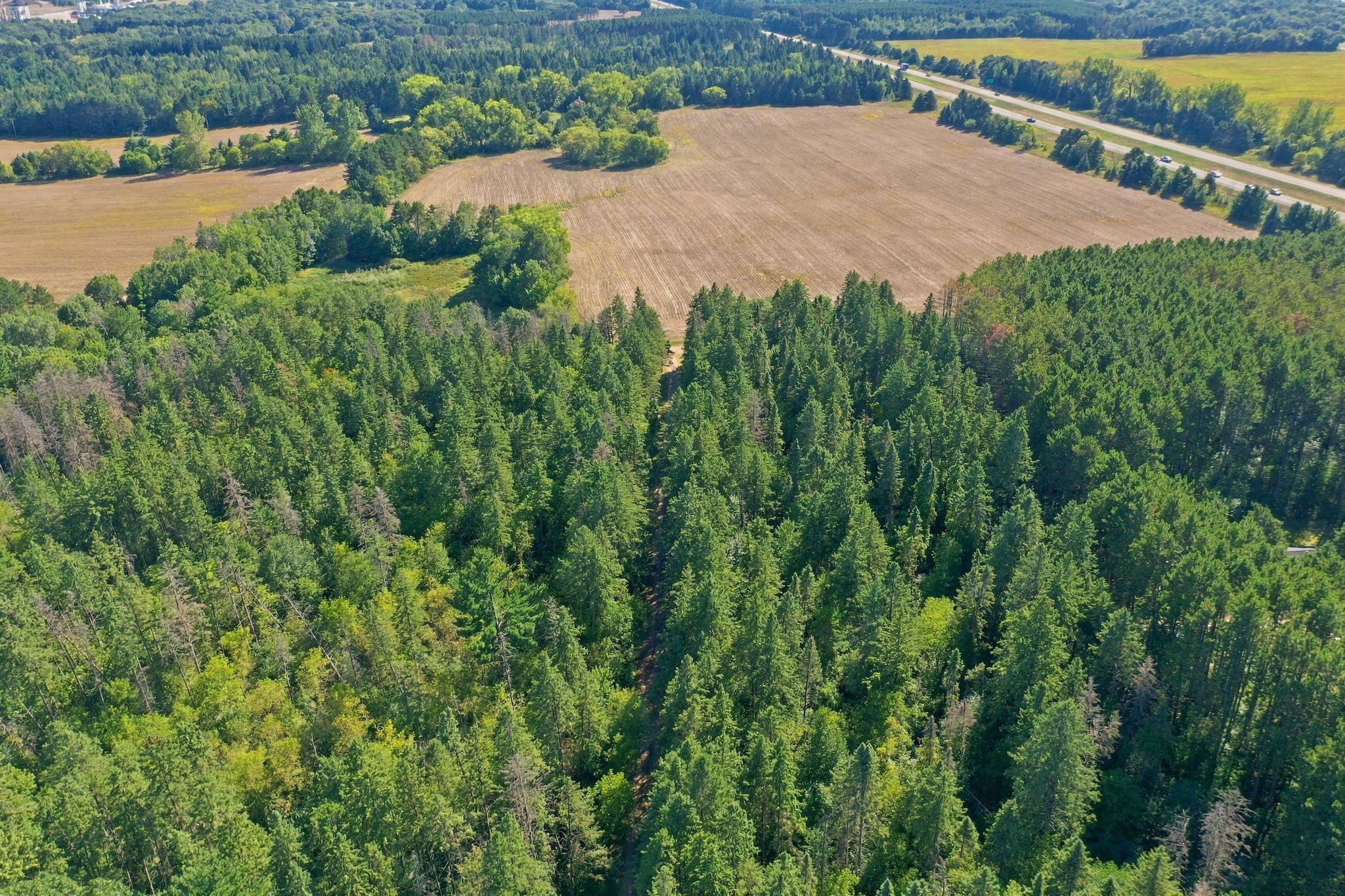 main property photo 42