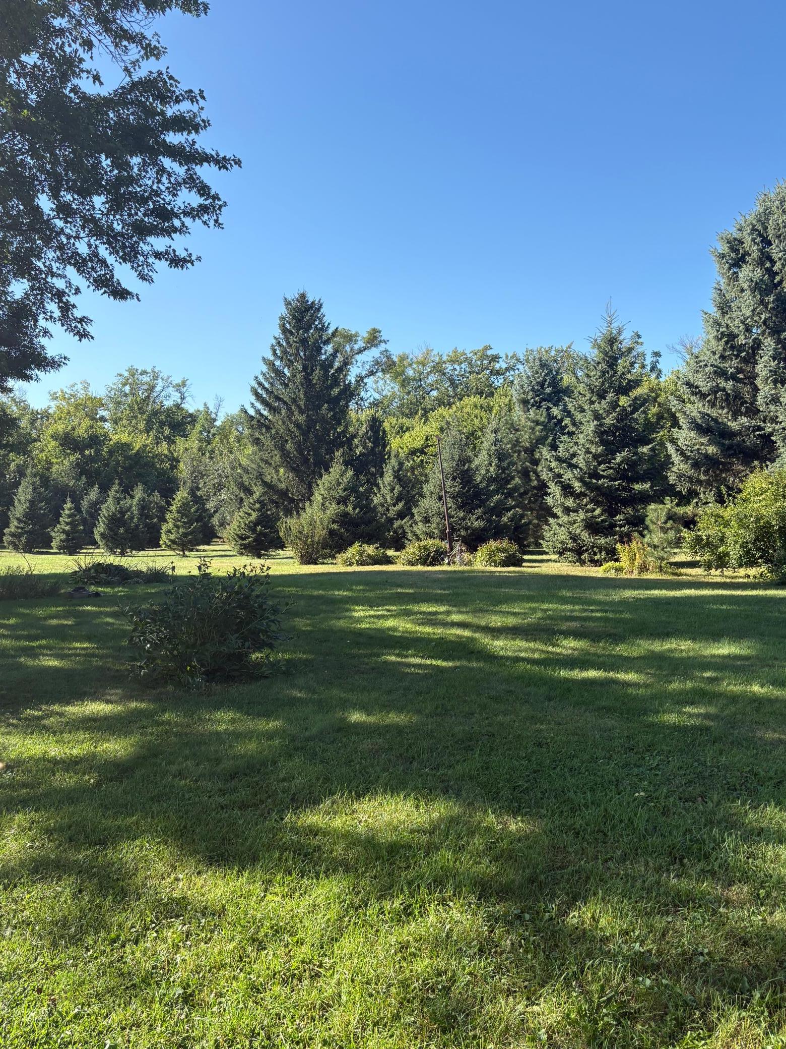 main property photo 36