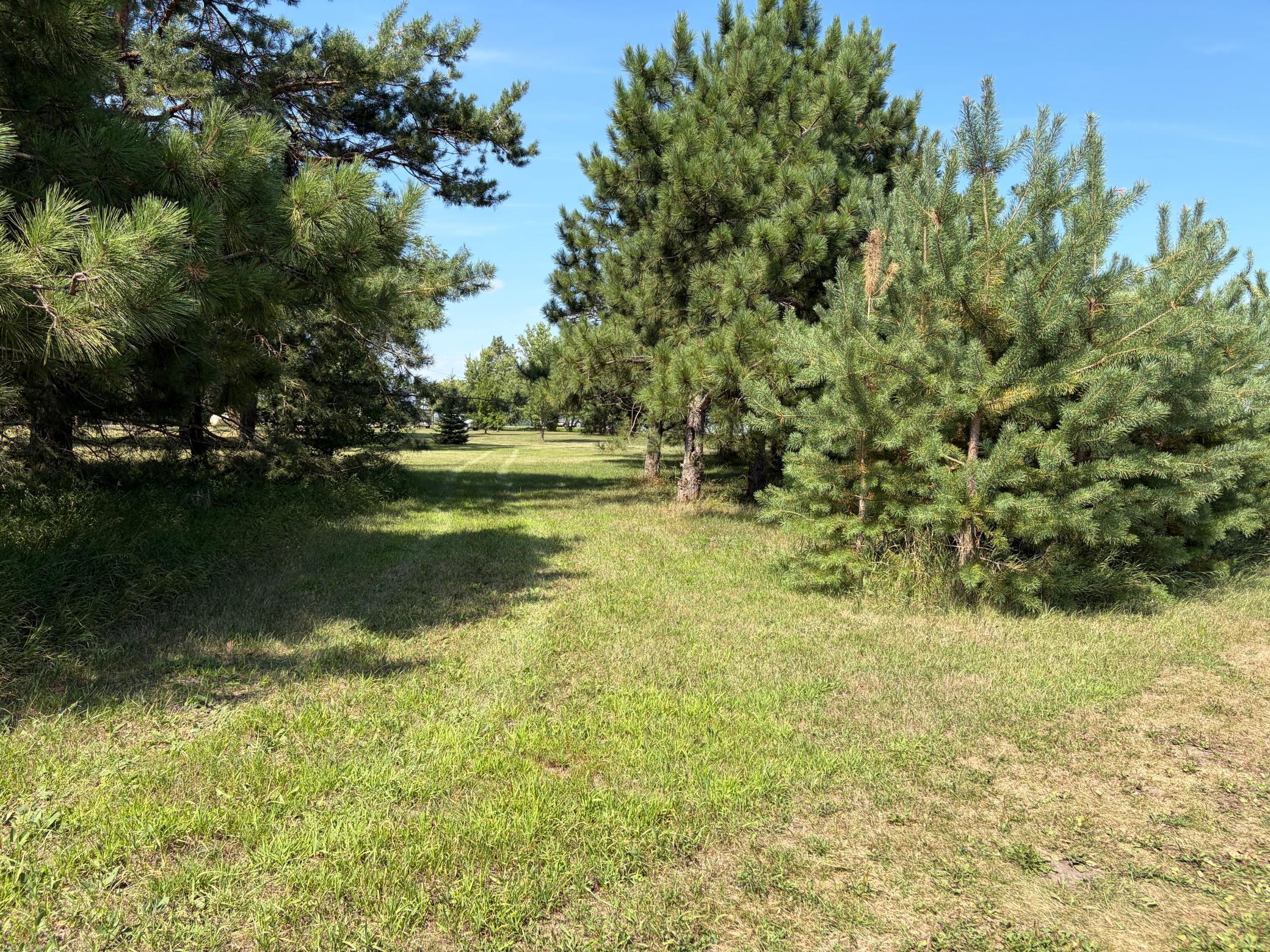 main property photo 6