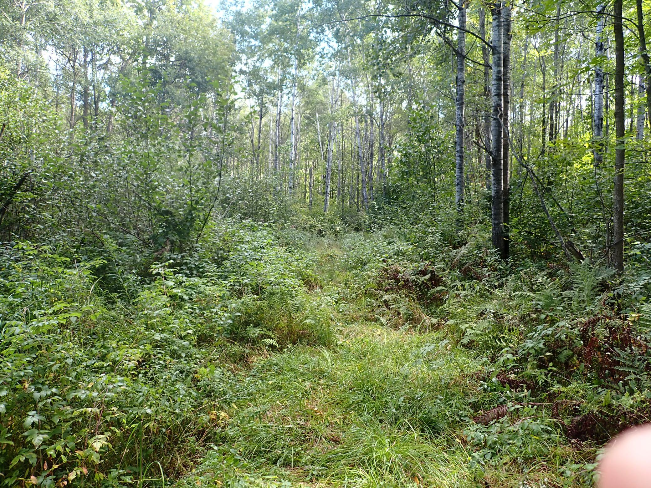 main property photo 19
