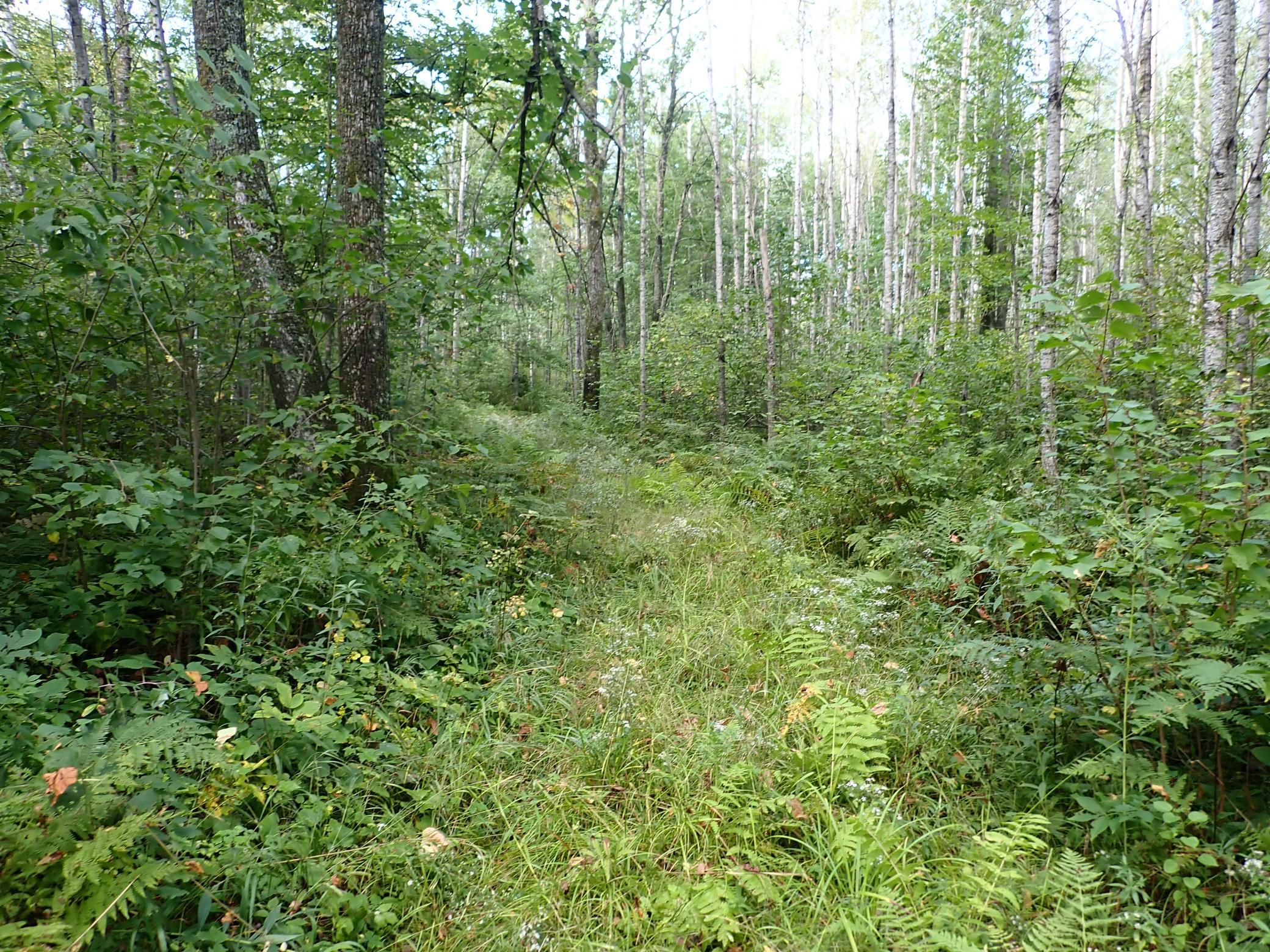 main property photo 20