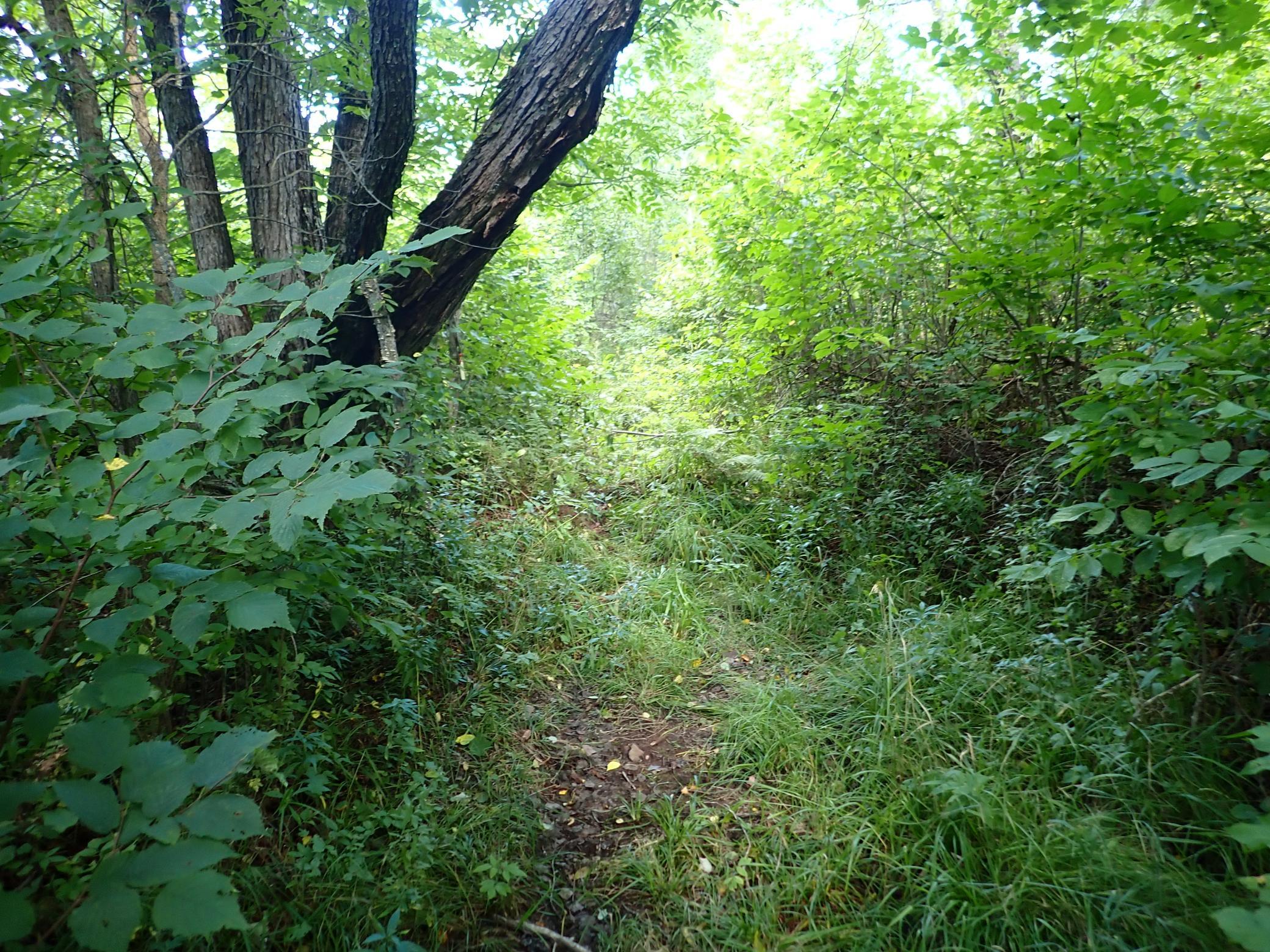 main property photo 34