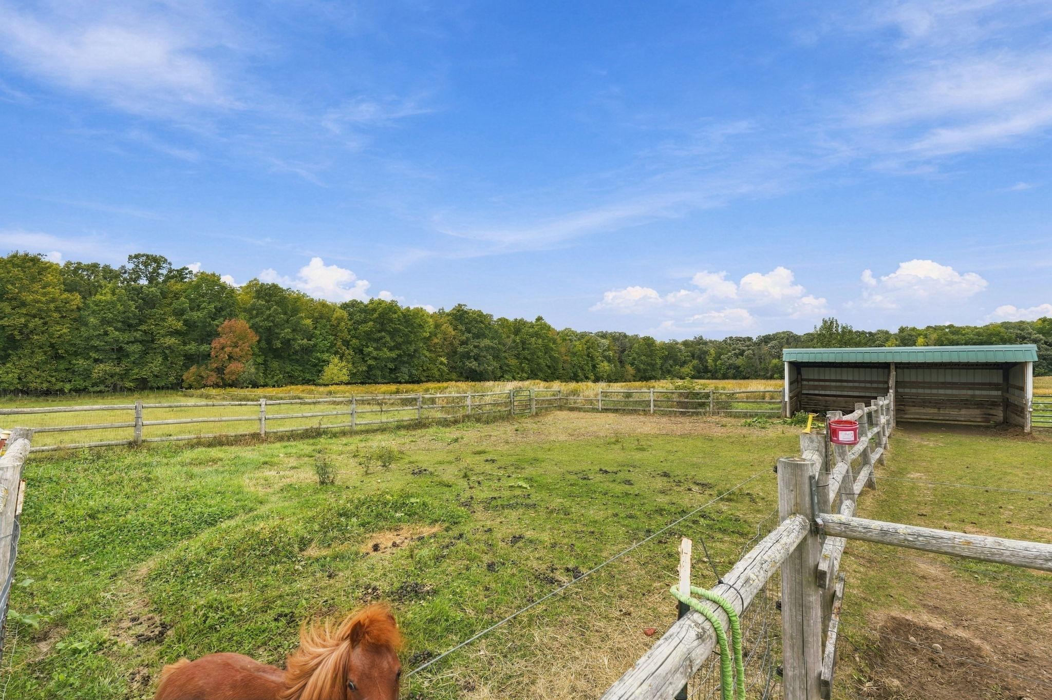 main property photo 42