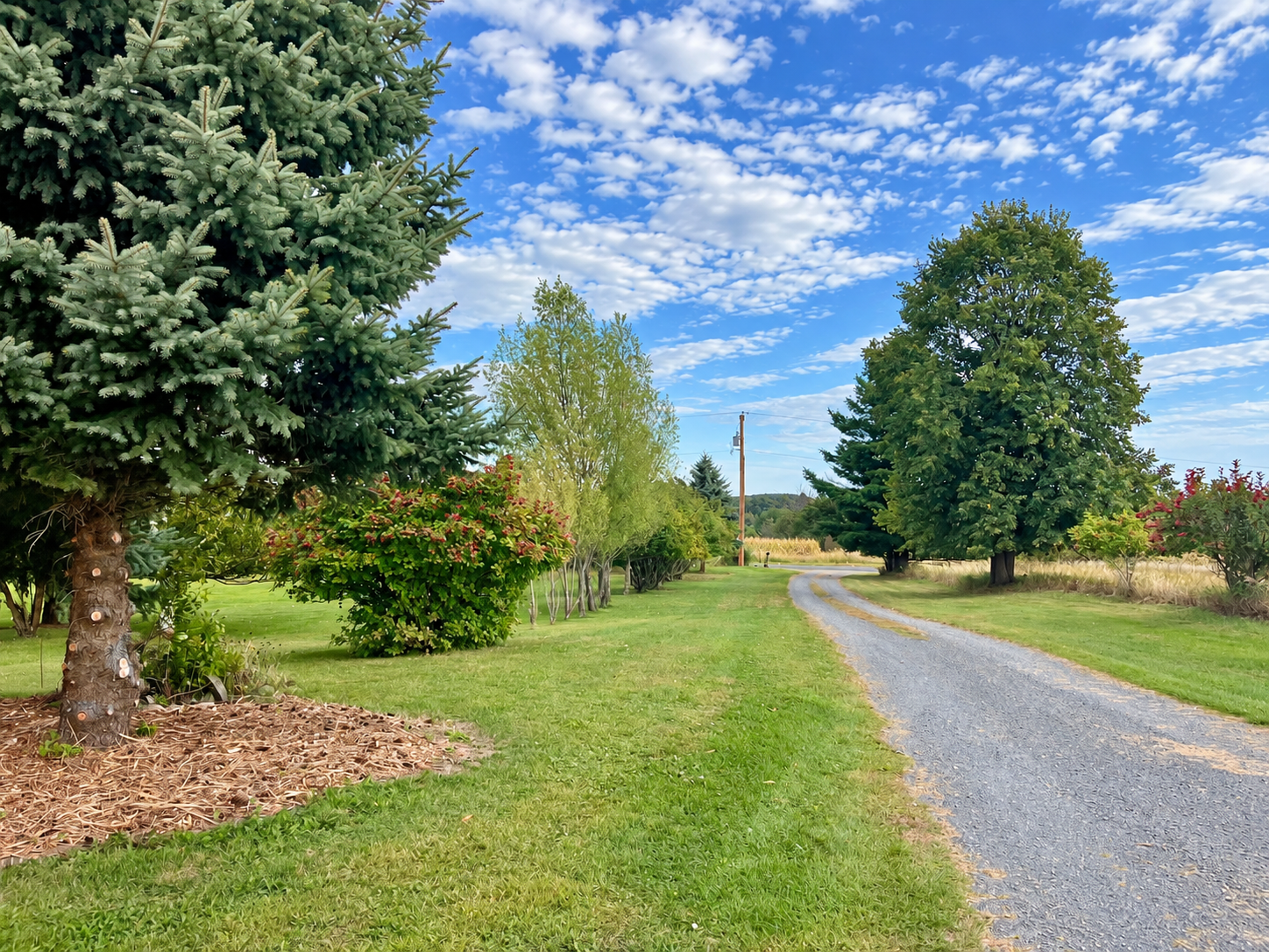 main property photo 56