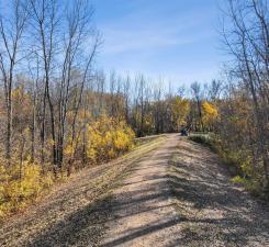 main property photo 46