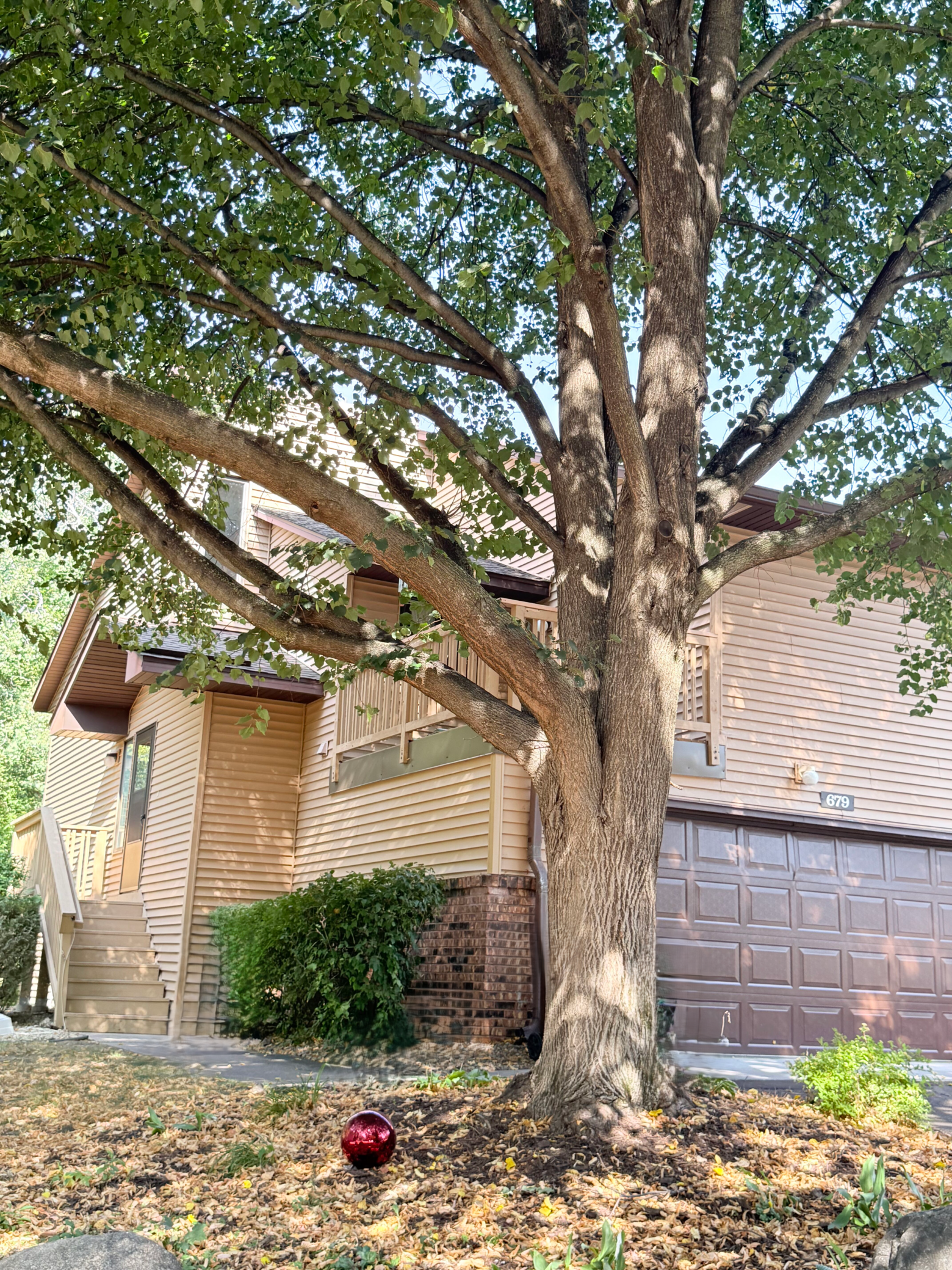 main property photo 21