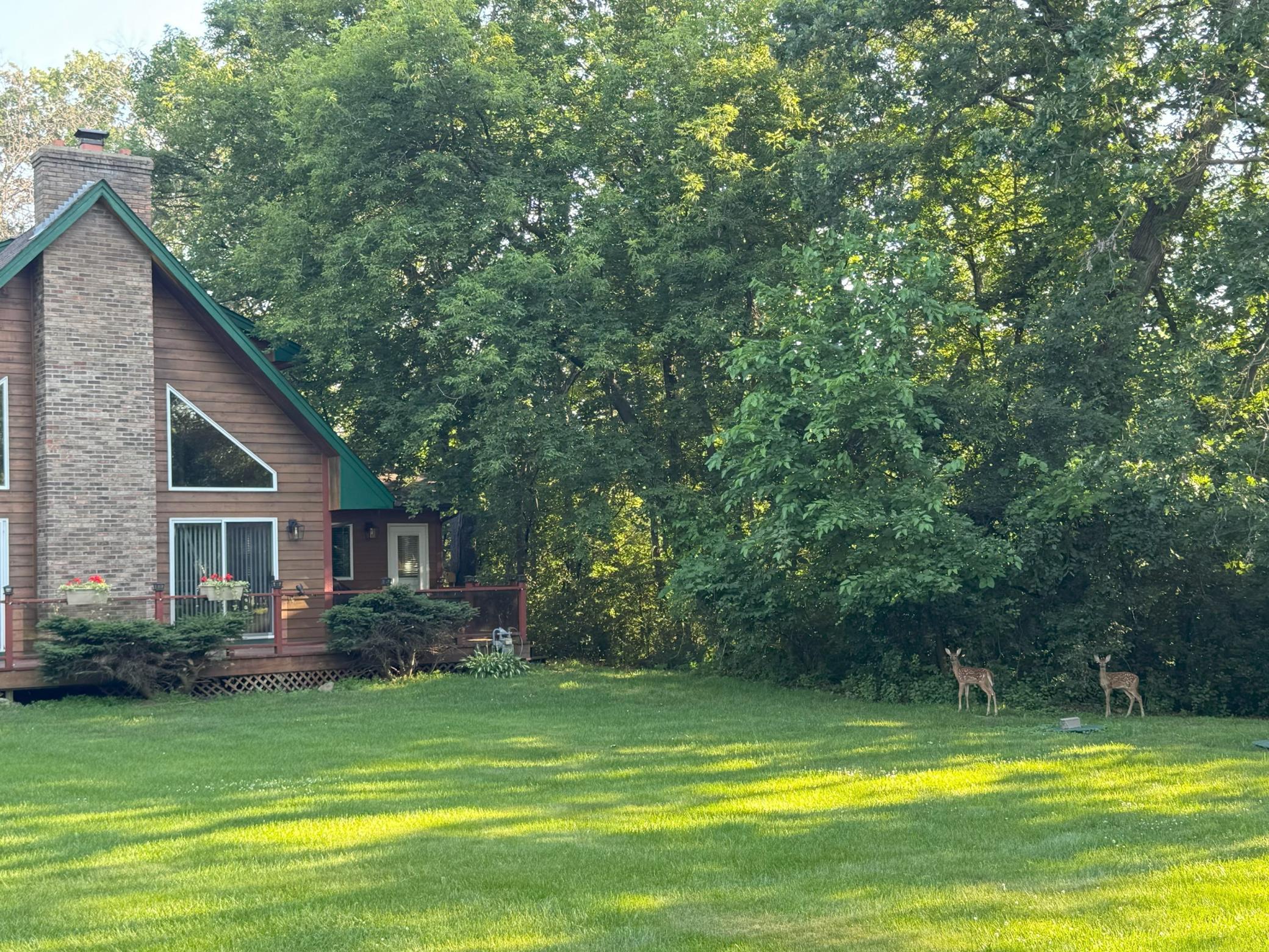 main property photo 62