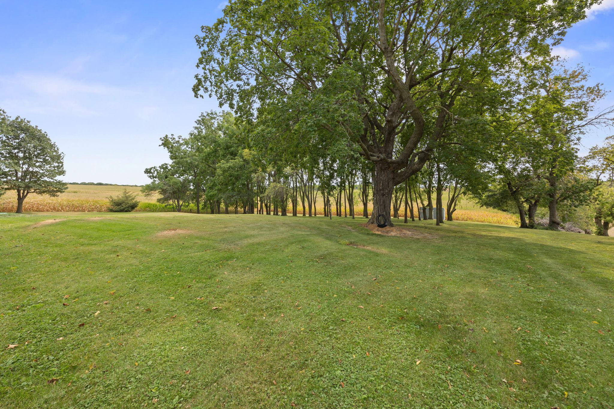 main property photo 37