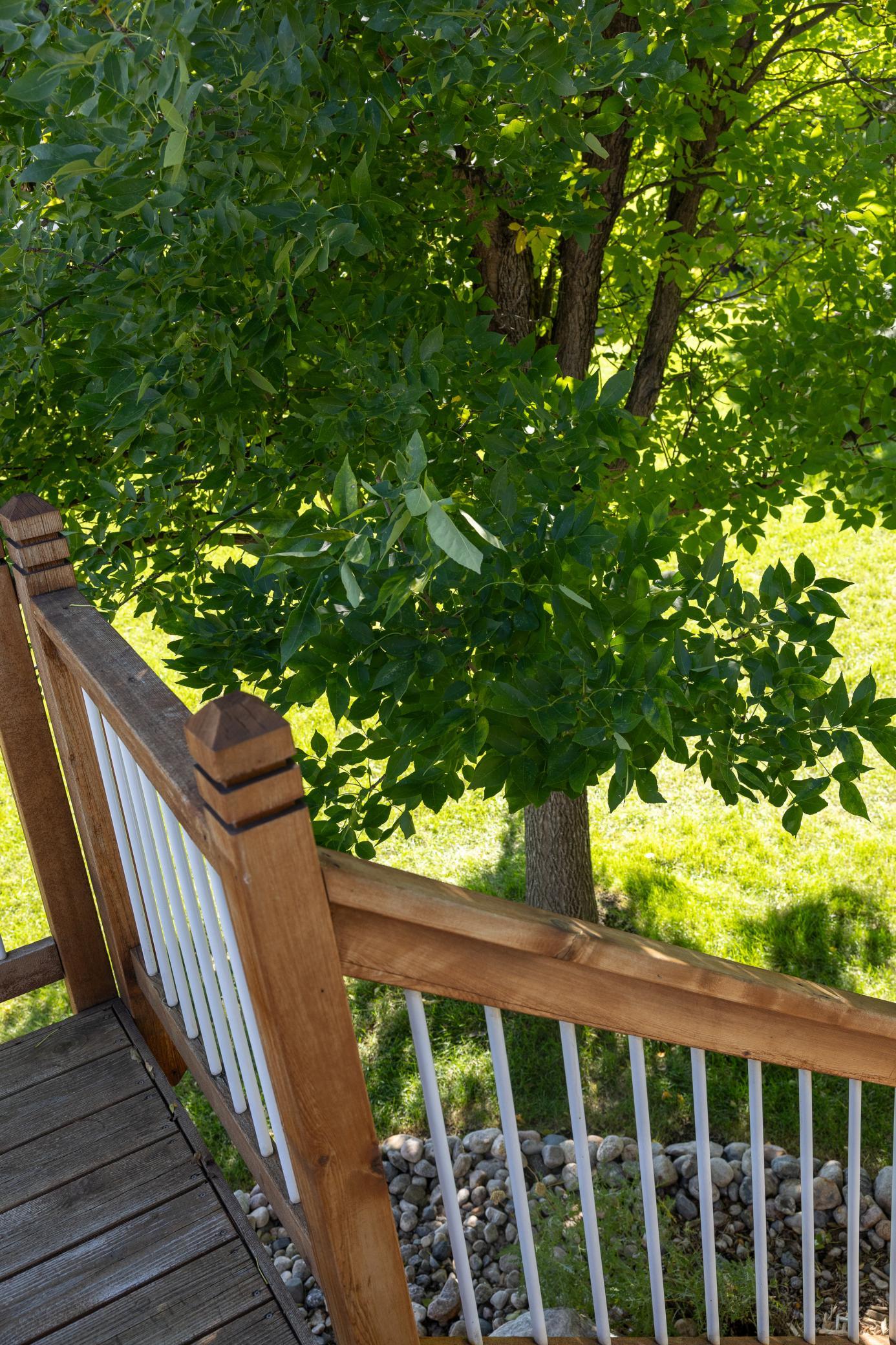 main property photo 50