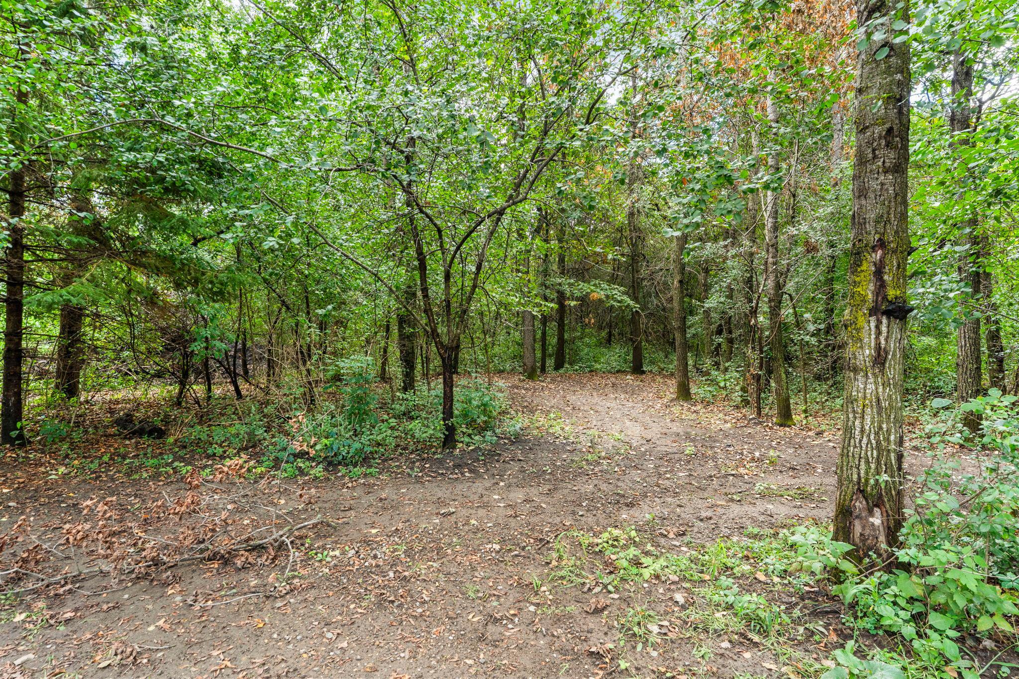 main property photo 58
