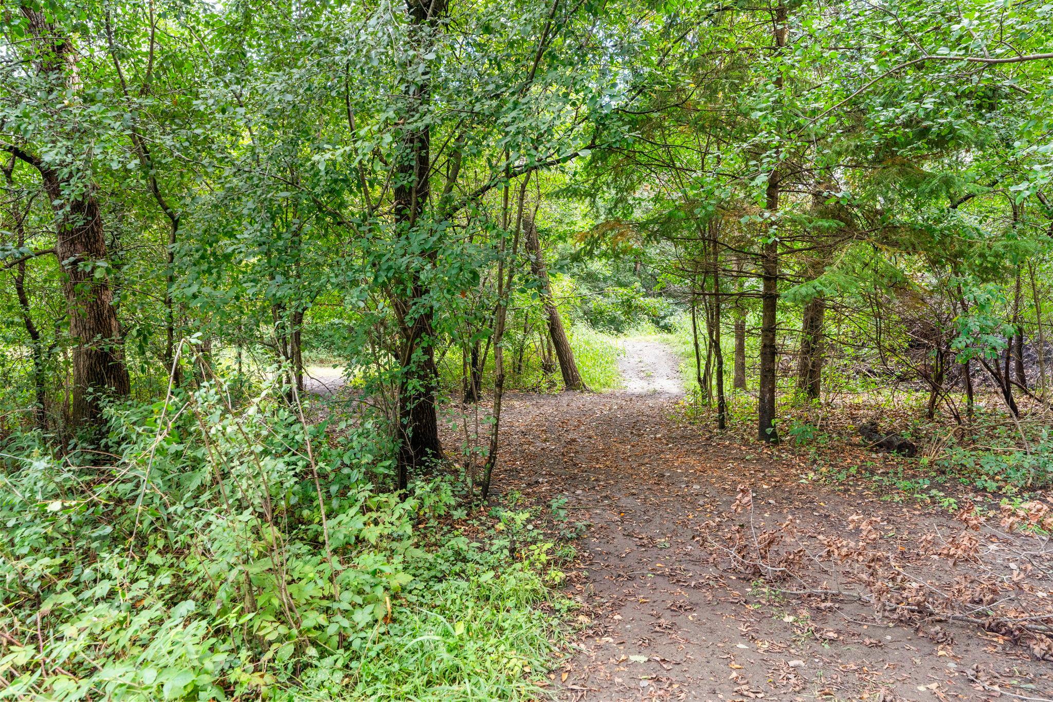 main property photo 59