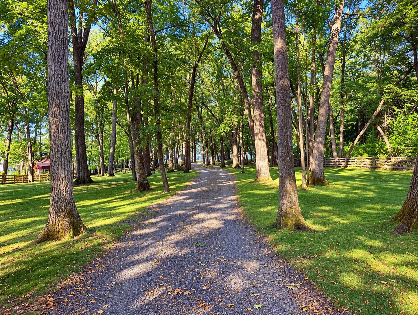 main property photo 22