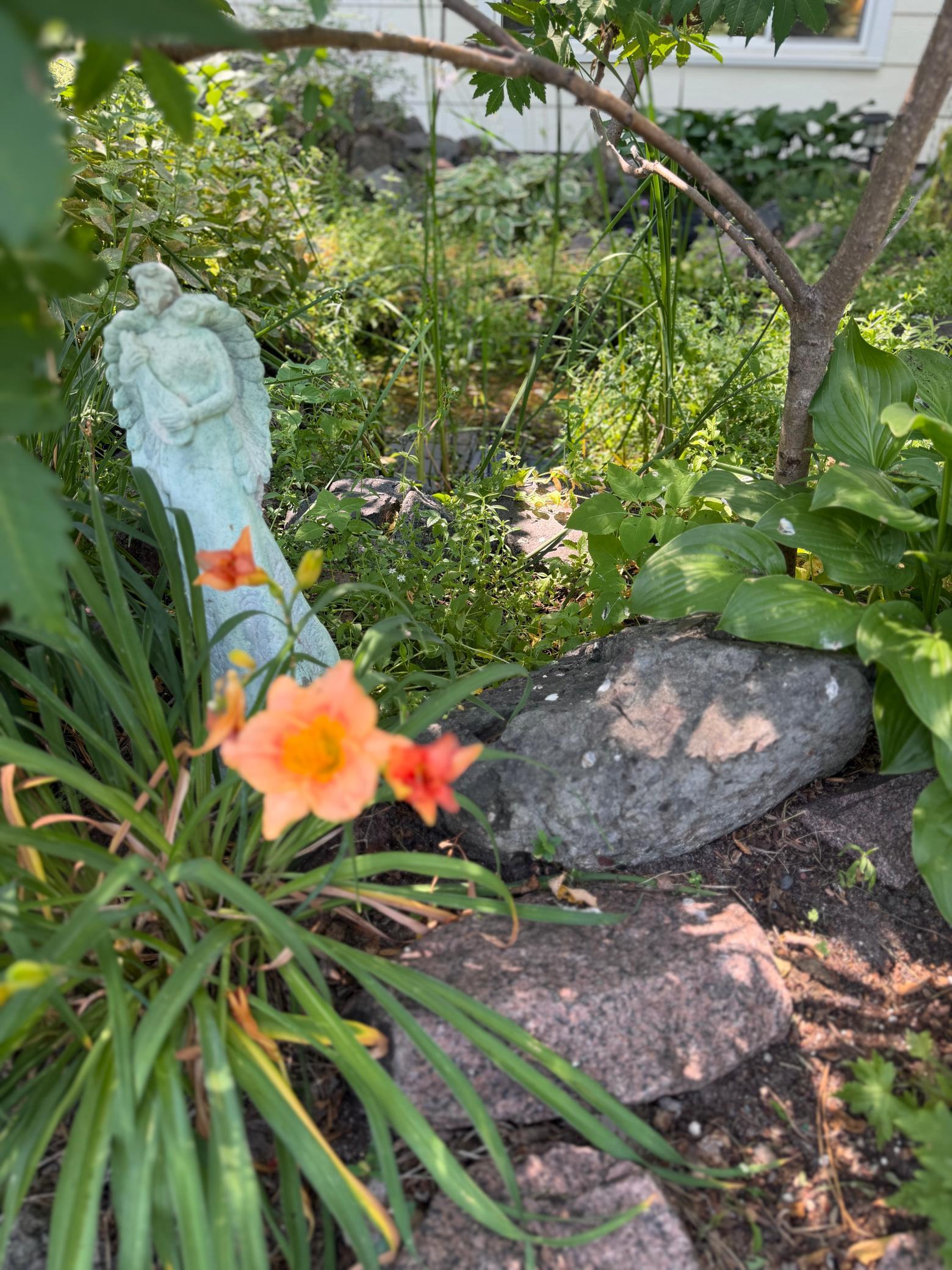 main property photo 39