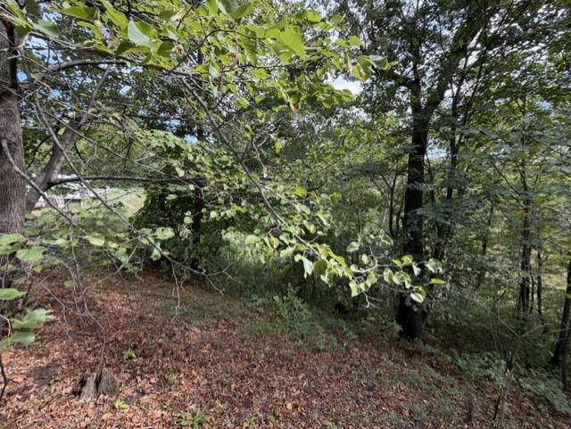 main property photo 37
