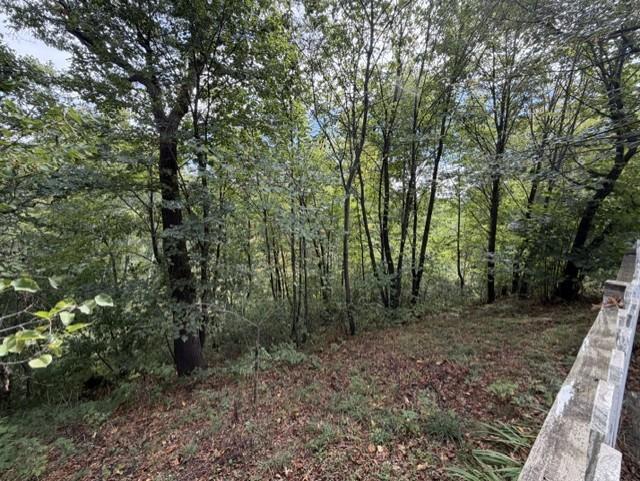main property photo 47