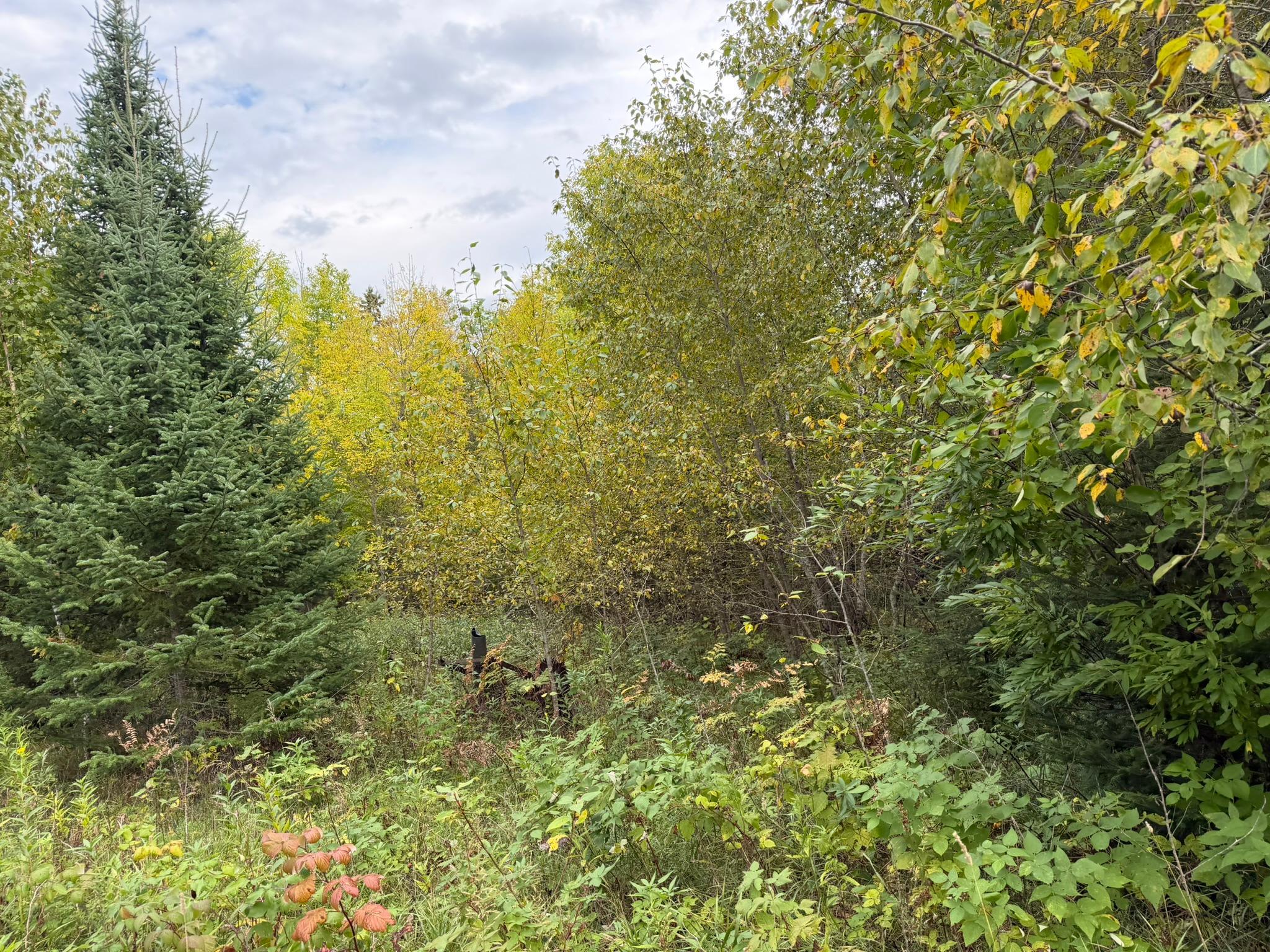 main property photo 36