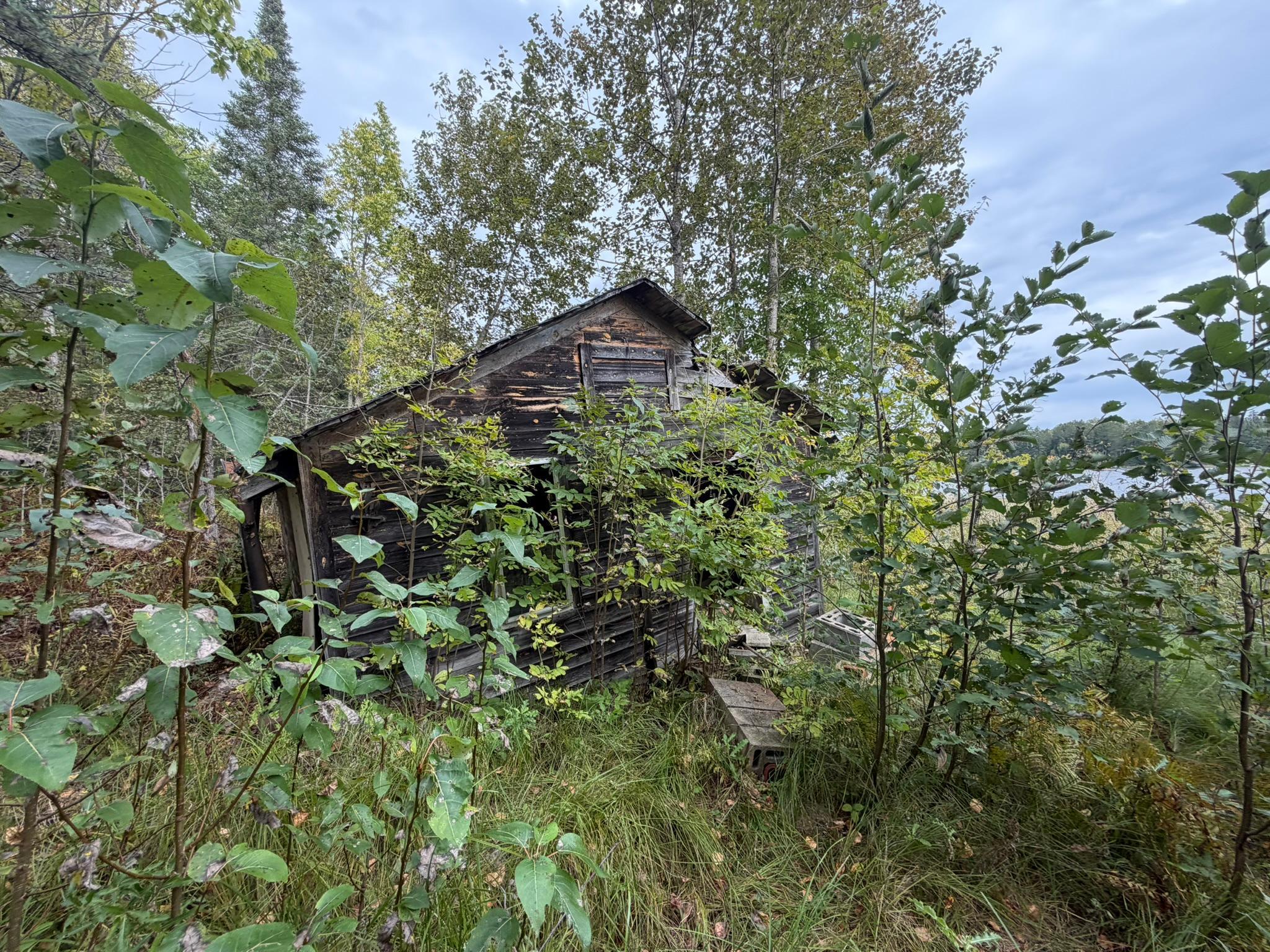 main property photo 46