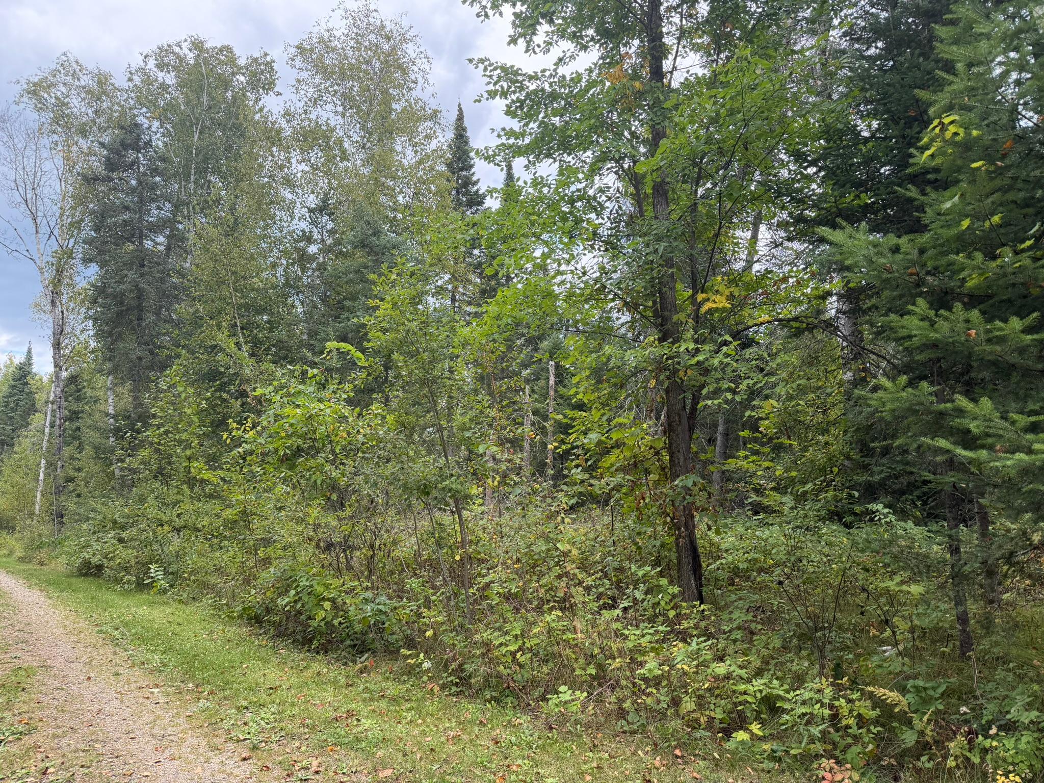 main property photo 73