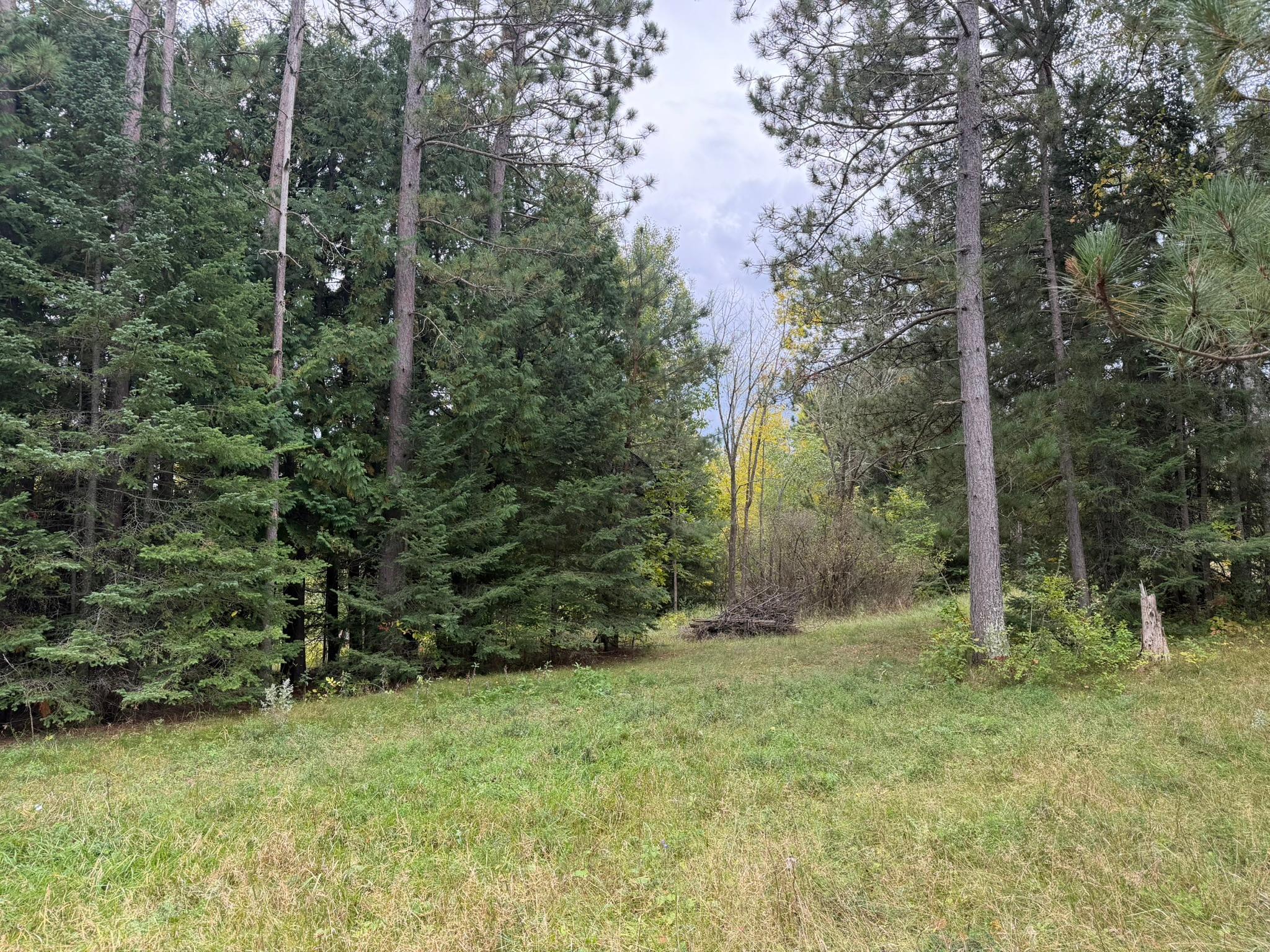 main property photo 80