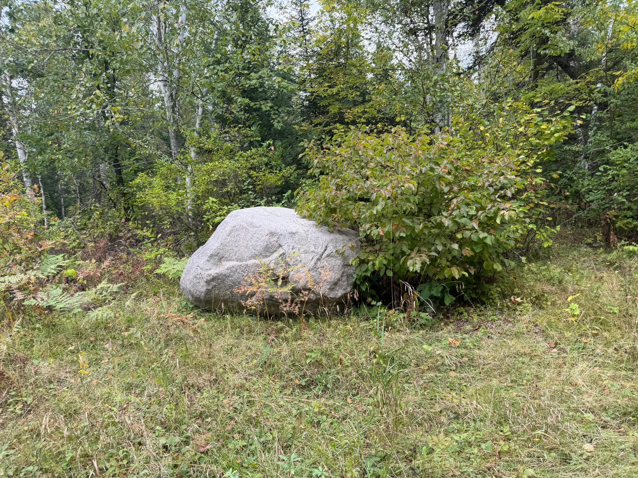main property photo 81