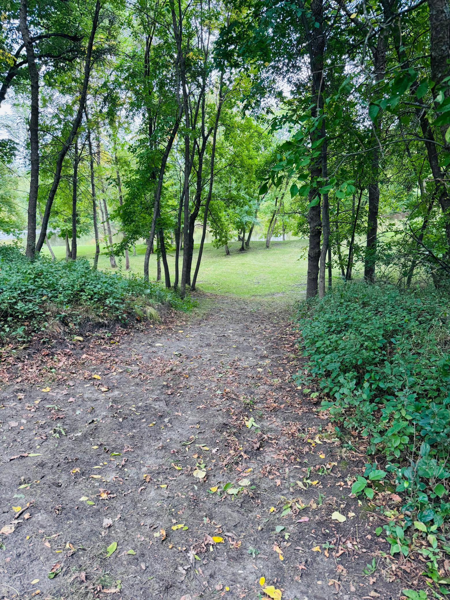 main property photo 53