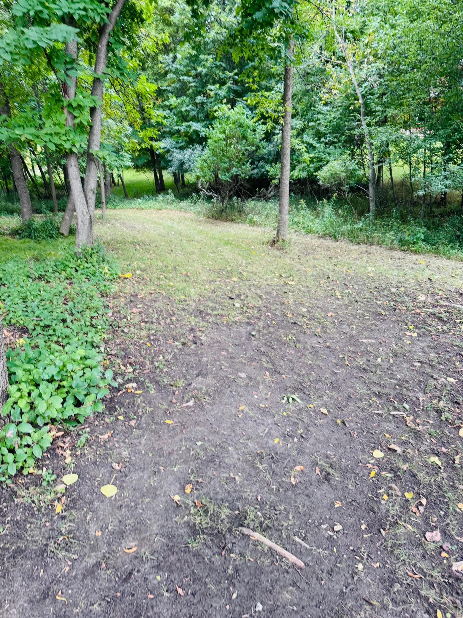 main property photo 54