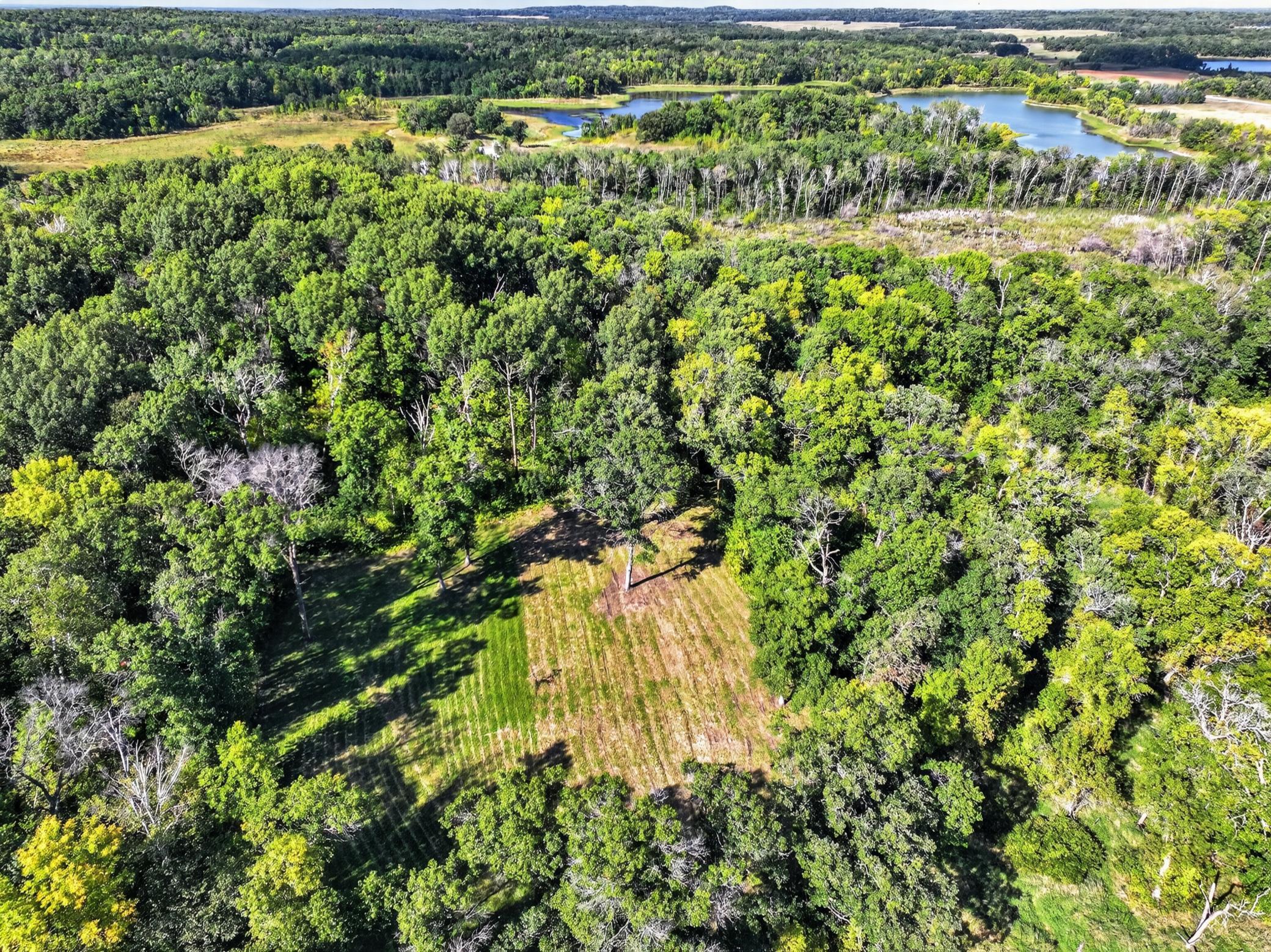main property photo 50