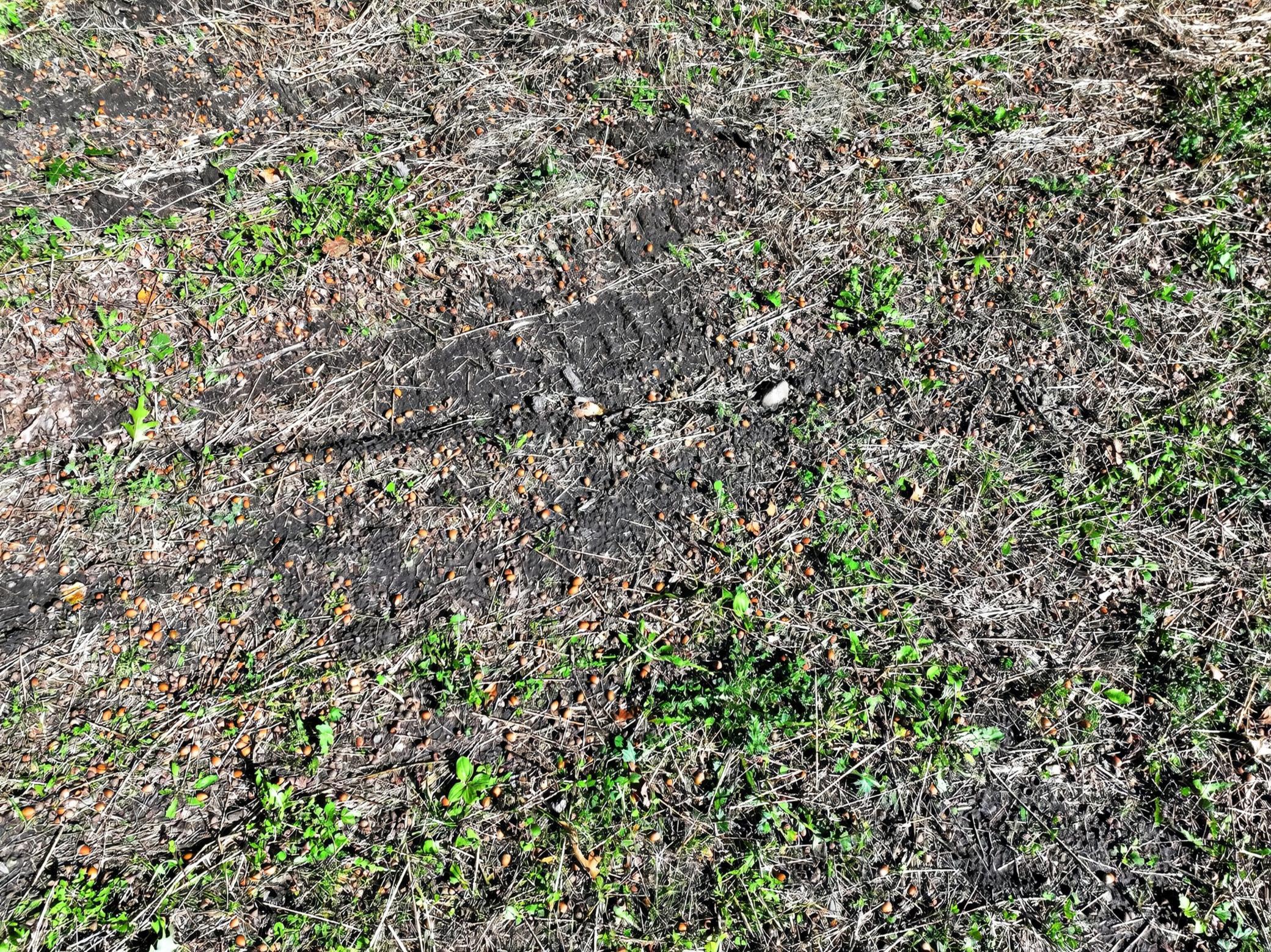 main property photo 53