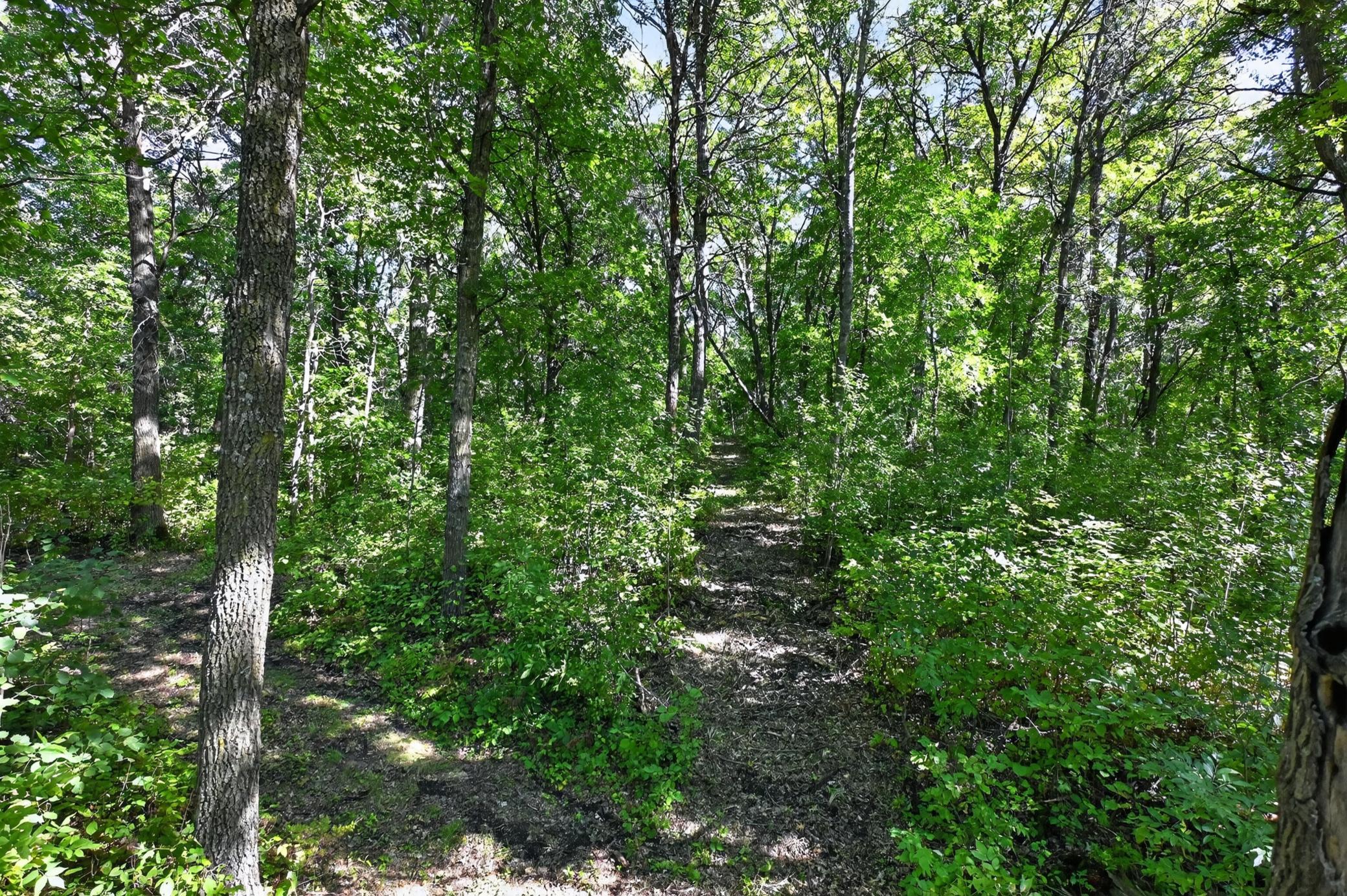 main property photo 55