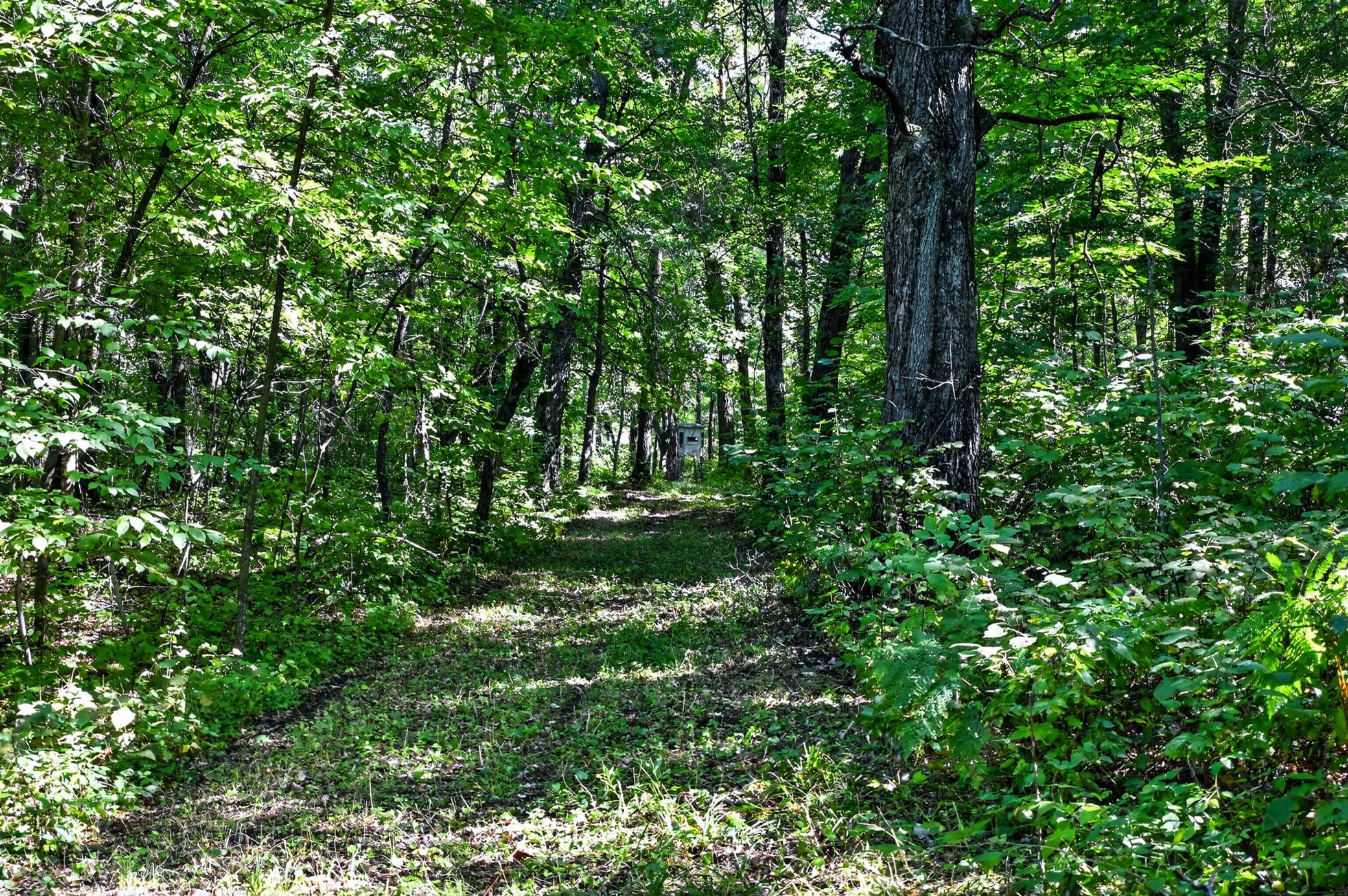 main property photo 57