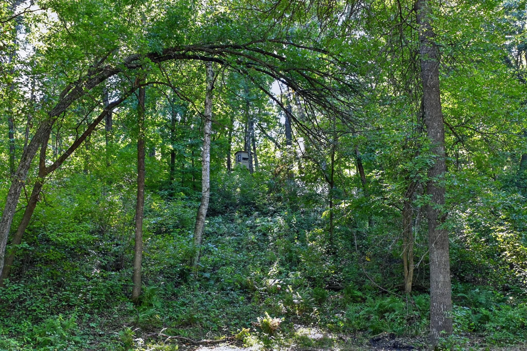 main property photo 58